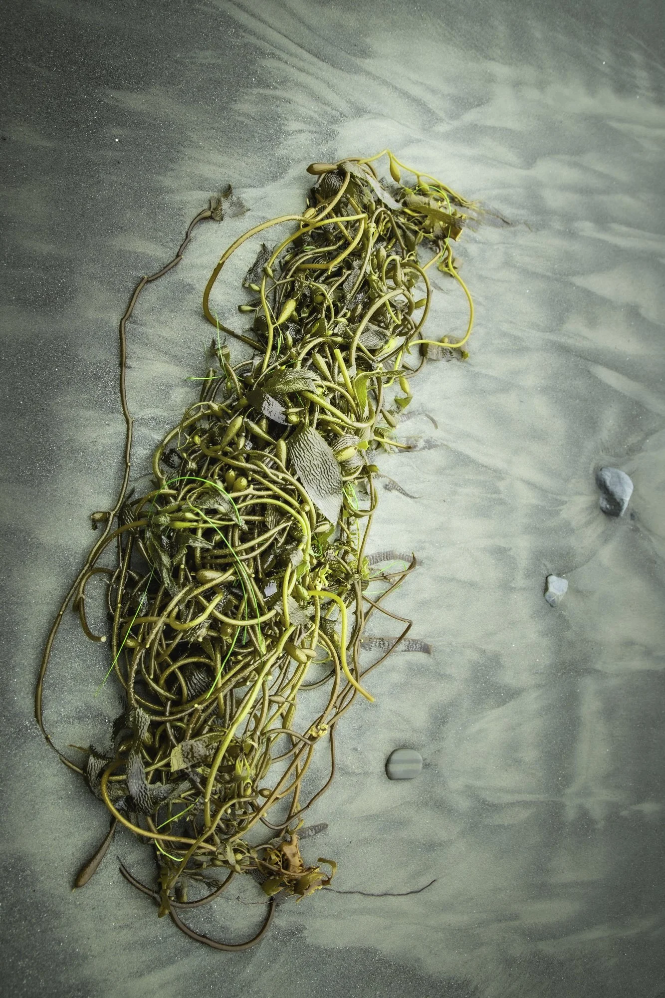 Entangled