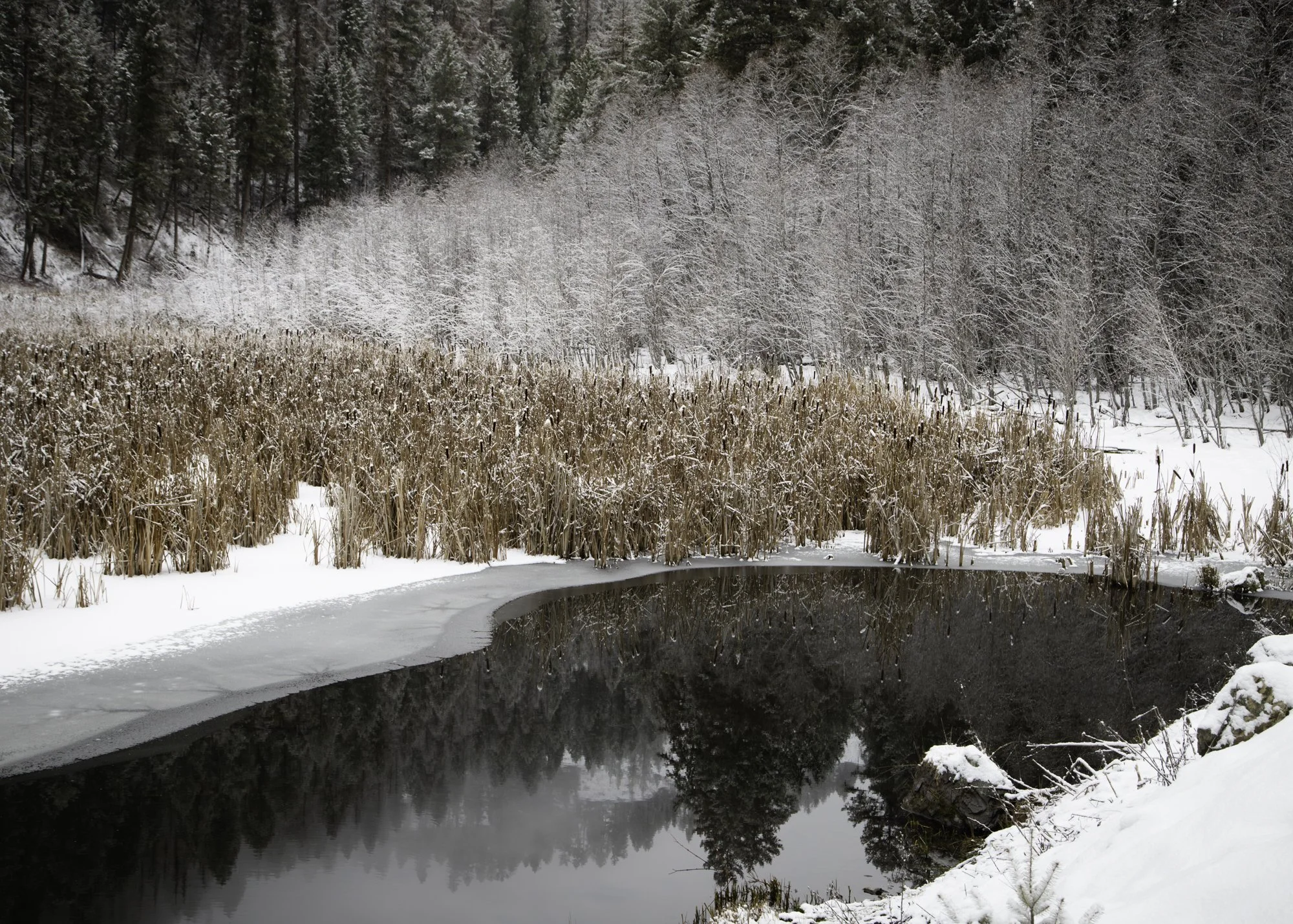 Okanogan County No. 6