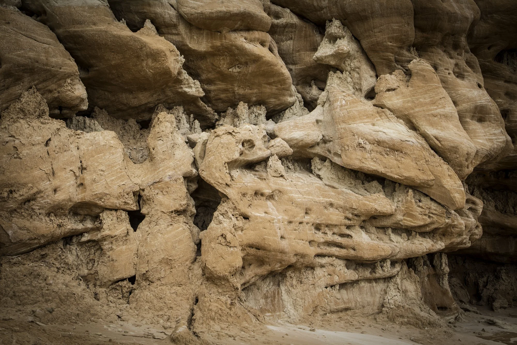 Fossil