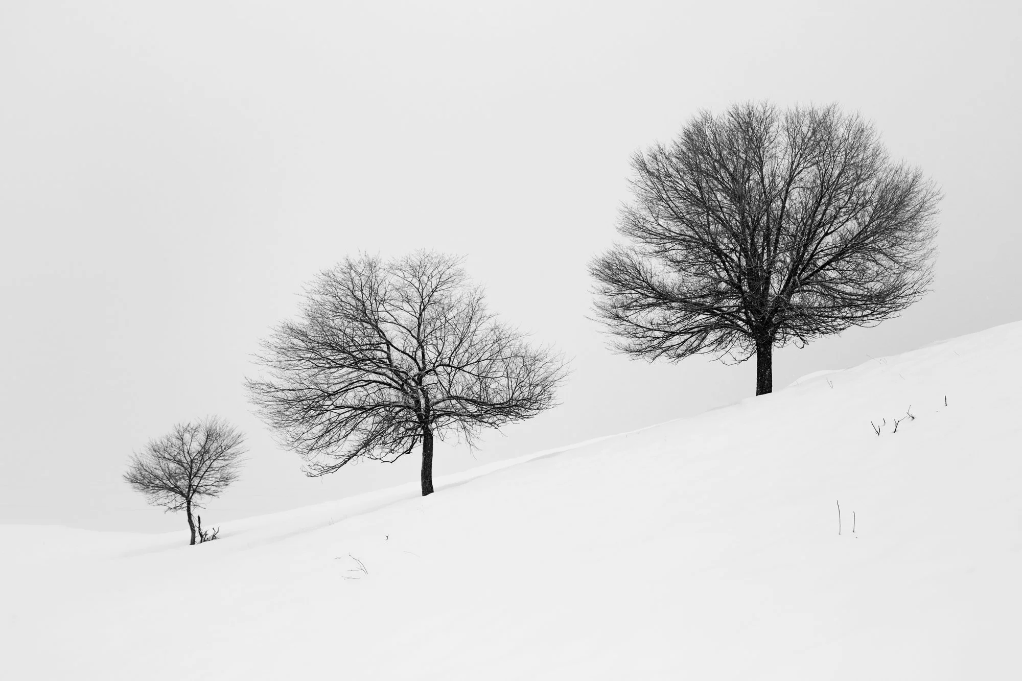 Three