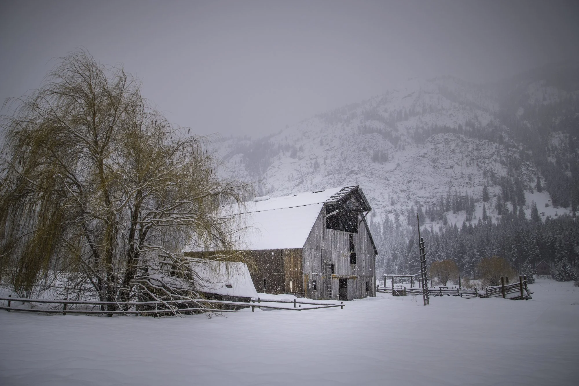 Farm