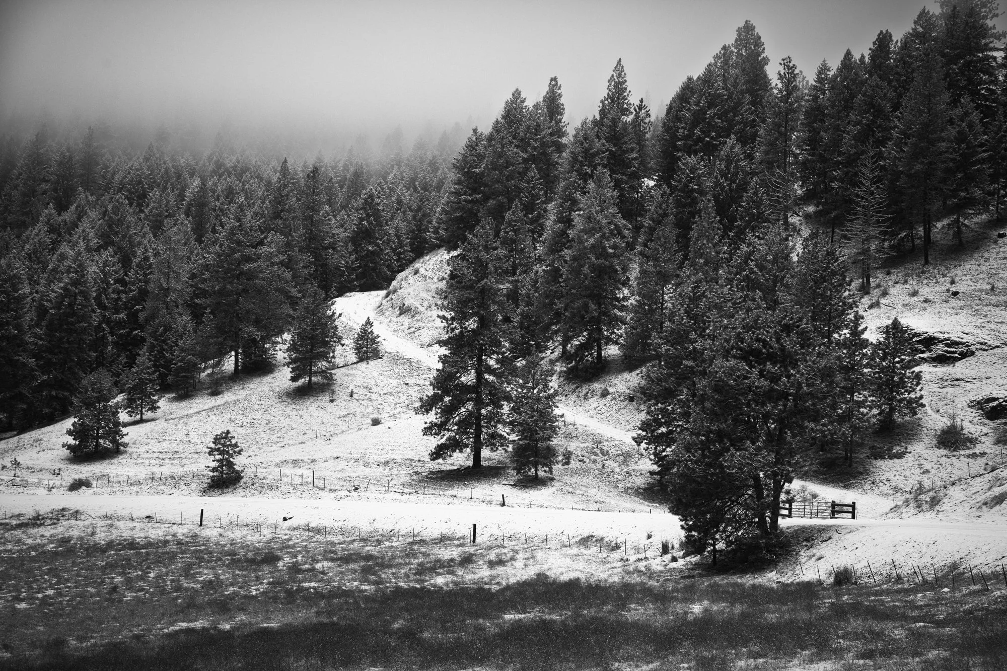 Okanogan County No. 8