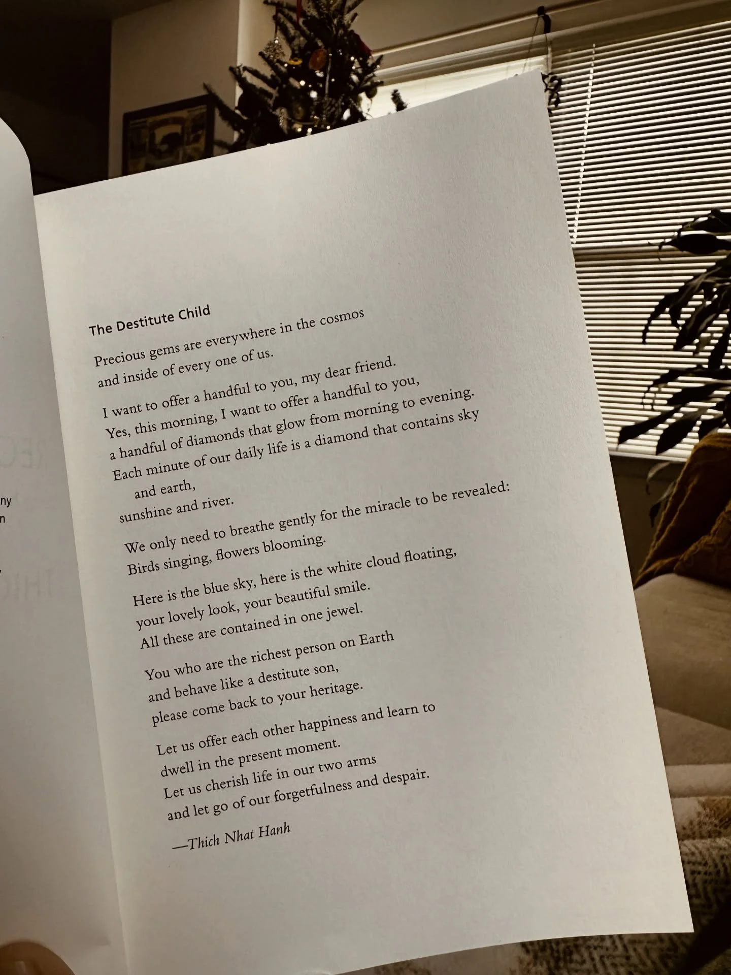 I started my morning with this ❤️

And I want to share that as I was in the transition of entering into the &lsquo;new year&rsquo; jazz last night, I was feeling heavy, overwhelmed and exhausted. I felt the internal pressure of feeling happy about th