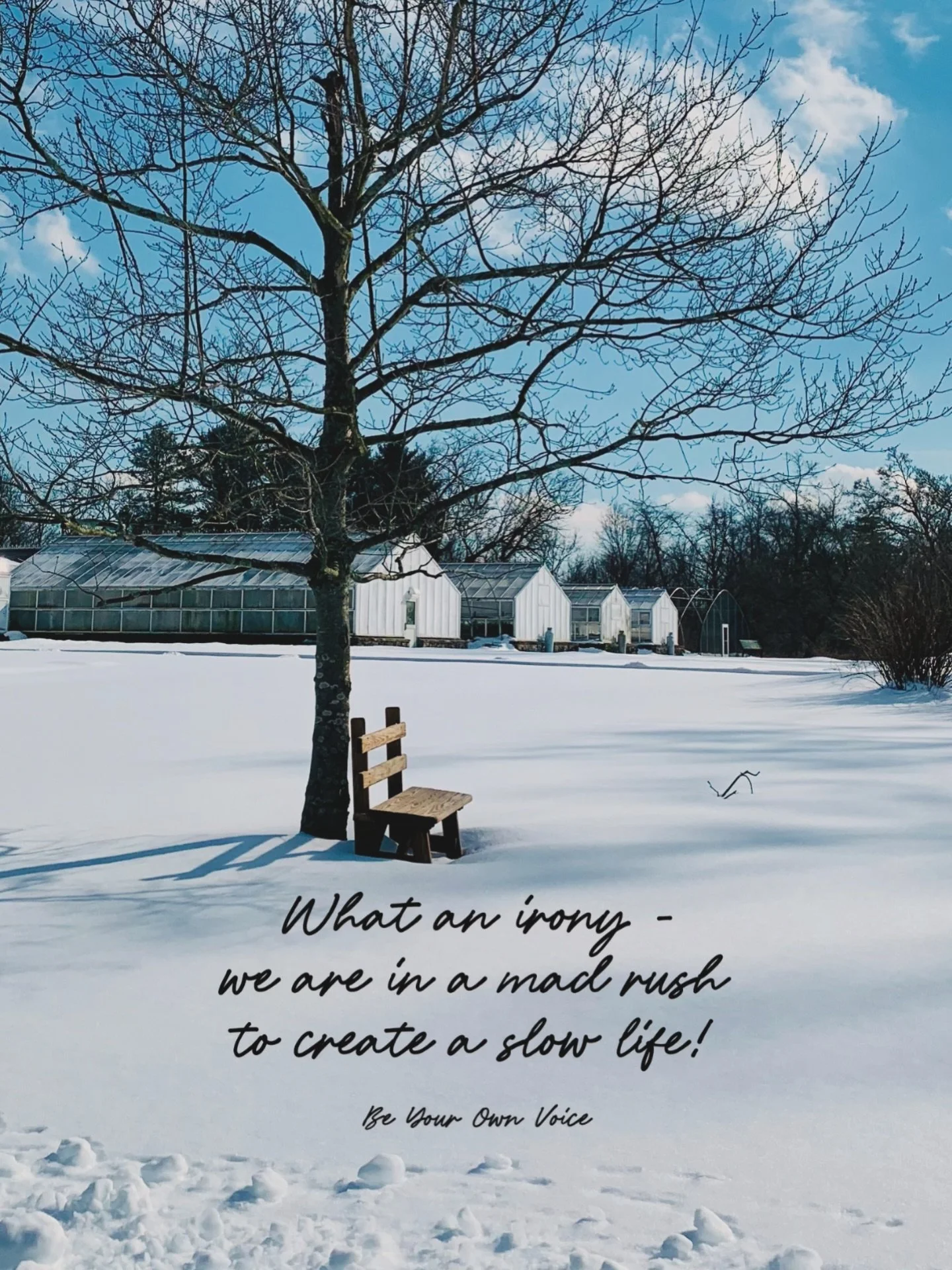 A postcard from my collection of winter stills 🩵
This season has been teaching me the power of slowing down and taking in a fuller breath. 

It may sound strange but most of us go through our days without a single pause of checking in with our breat