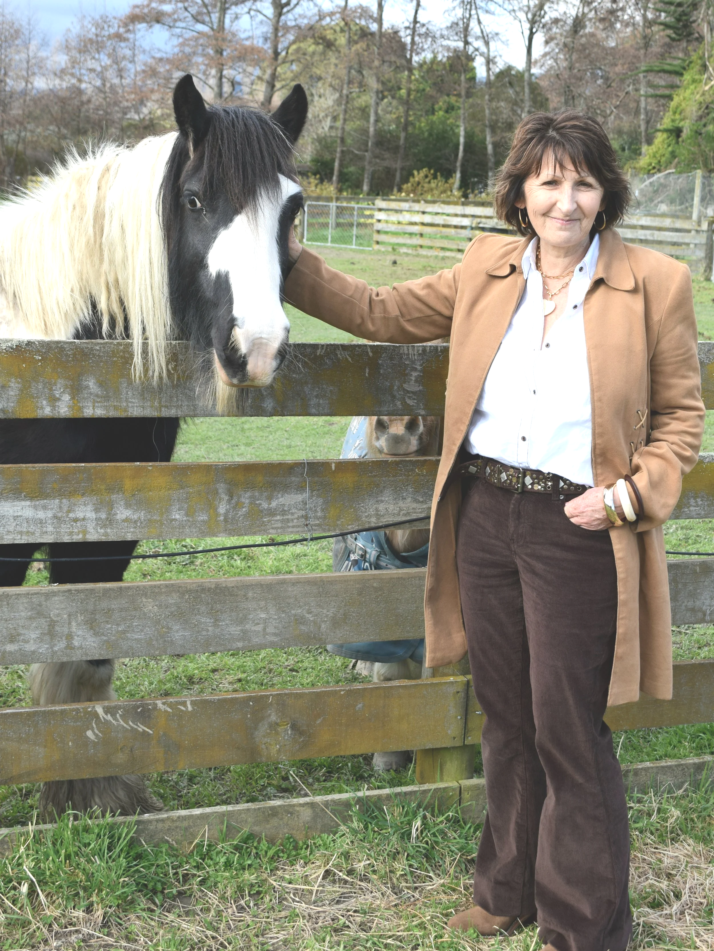 Deborah Stewart Animal Communicator