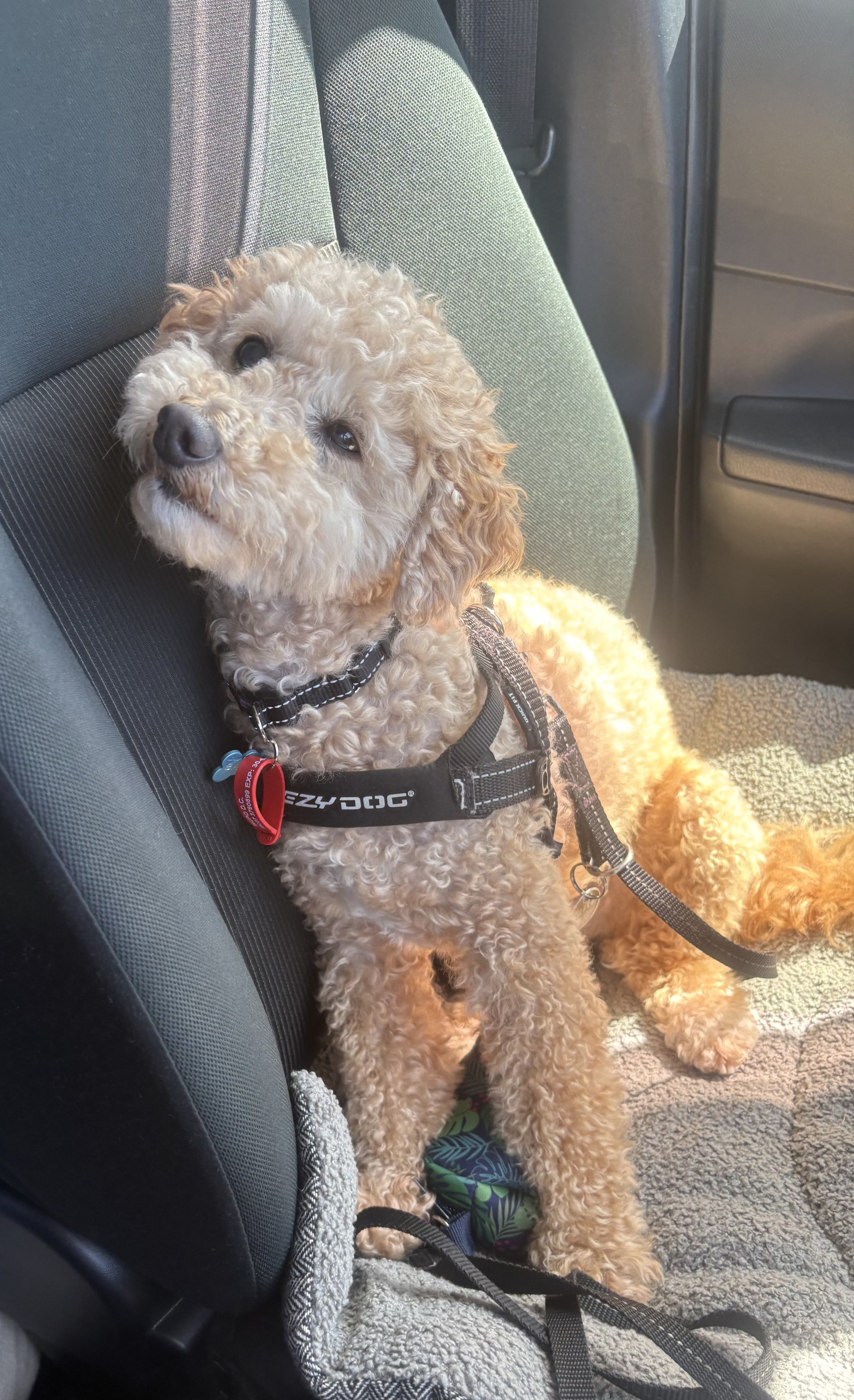 Baxter, customer review