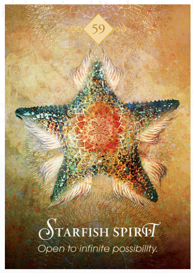 Starfish - Open to Infinite Possibilities