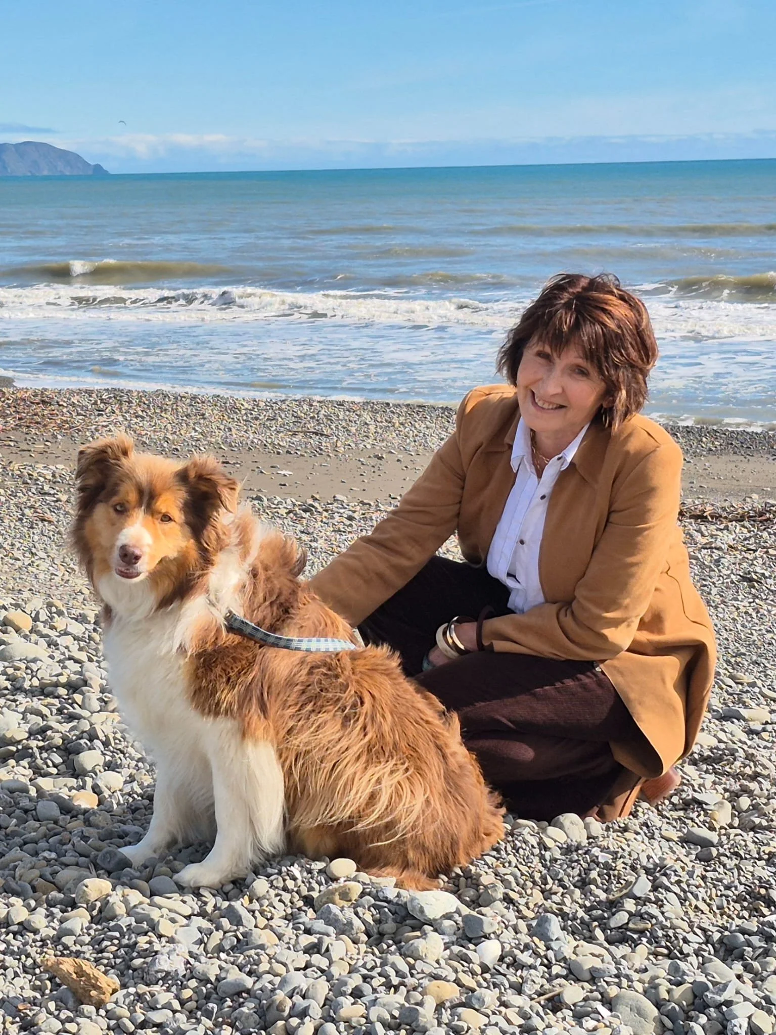 Questions to Ask in animal communication