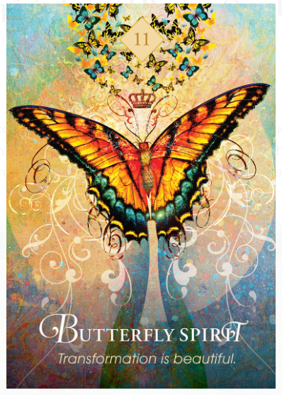 Butterfly - Transformation is beautiful