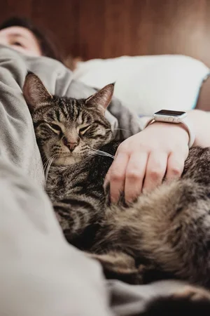 Person lying in bed with a tabby cat, cuddling together.