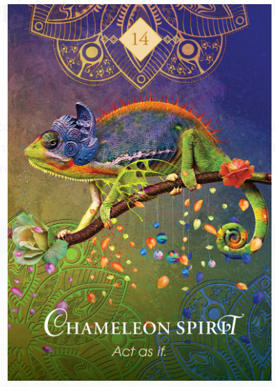 Chameleon - Act as If