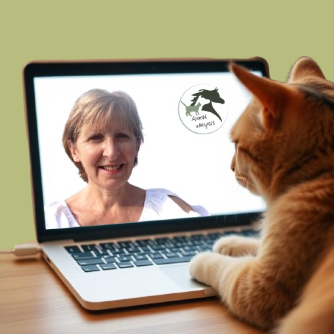 Urgent reading for any dog, cat, or horse