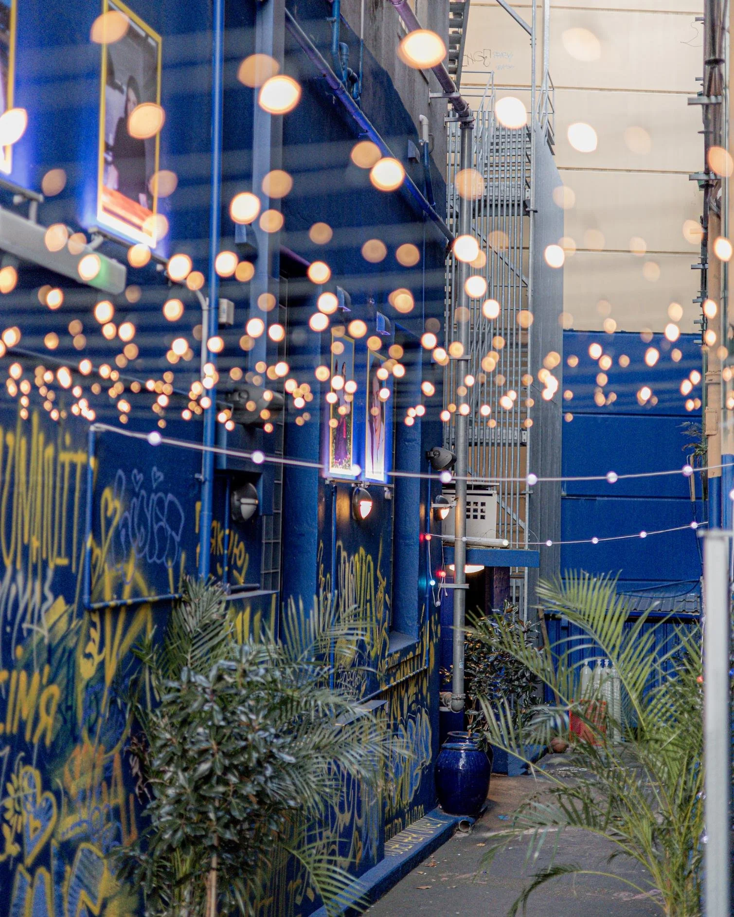 An alleyway with blue walls covered in yellow graffiti, string lights hanging above, plants on the ground, and a blue vase.