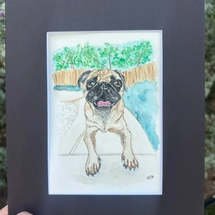 Pet Portrait