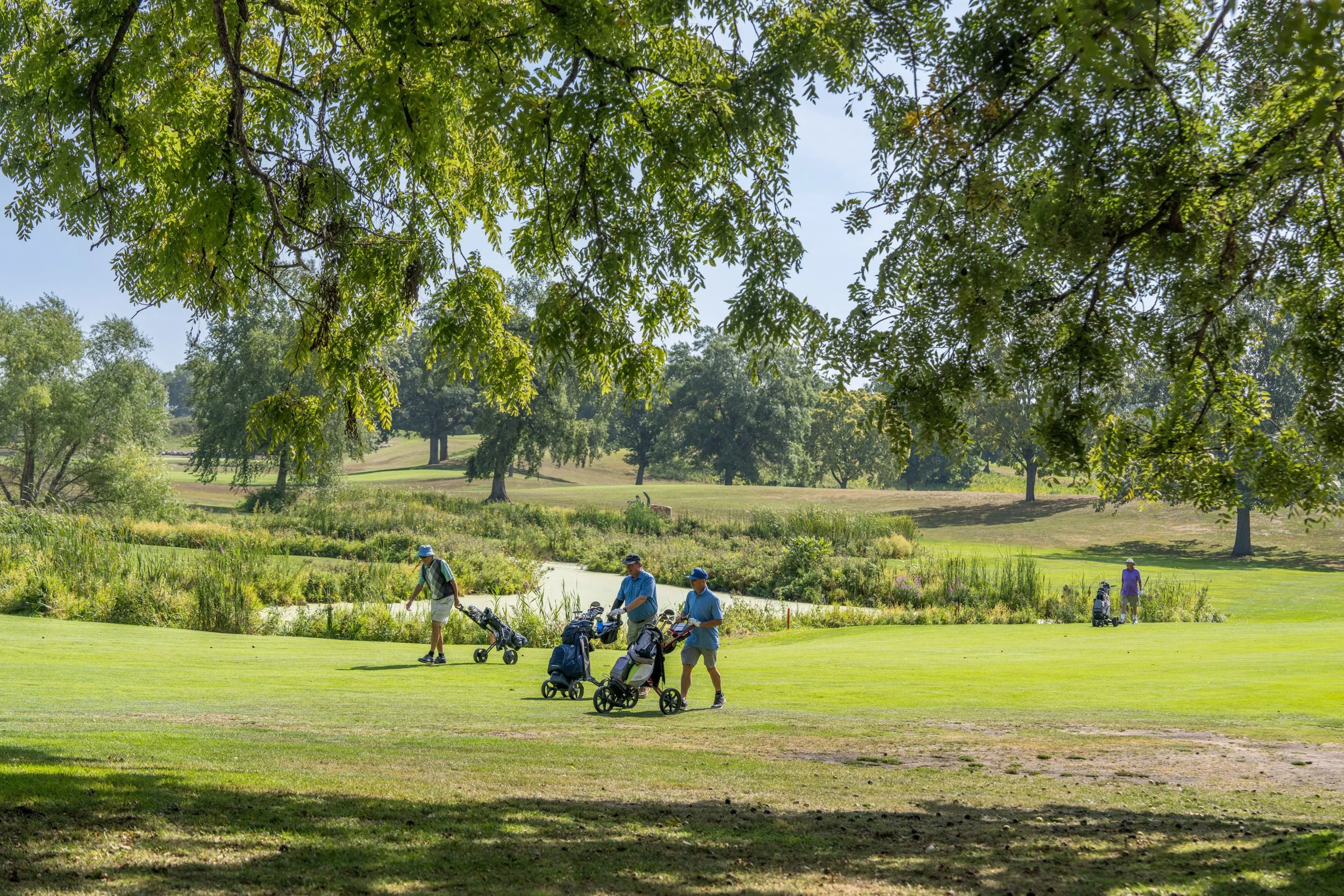 Meadowbrook_07.jpg