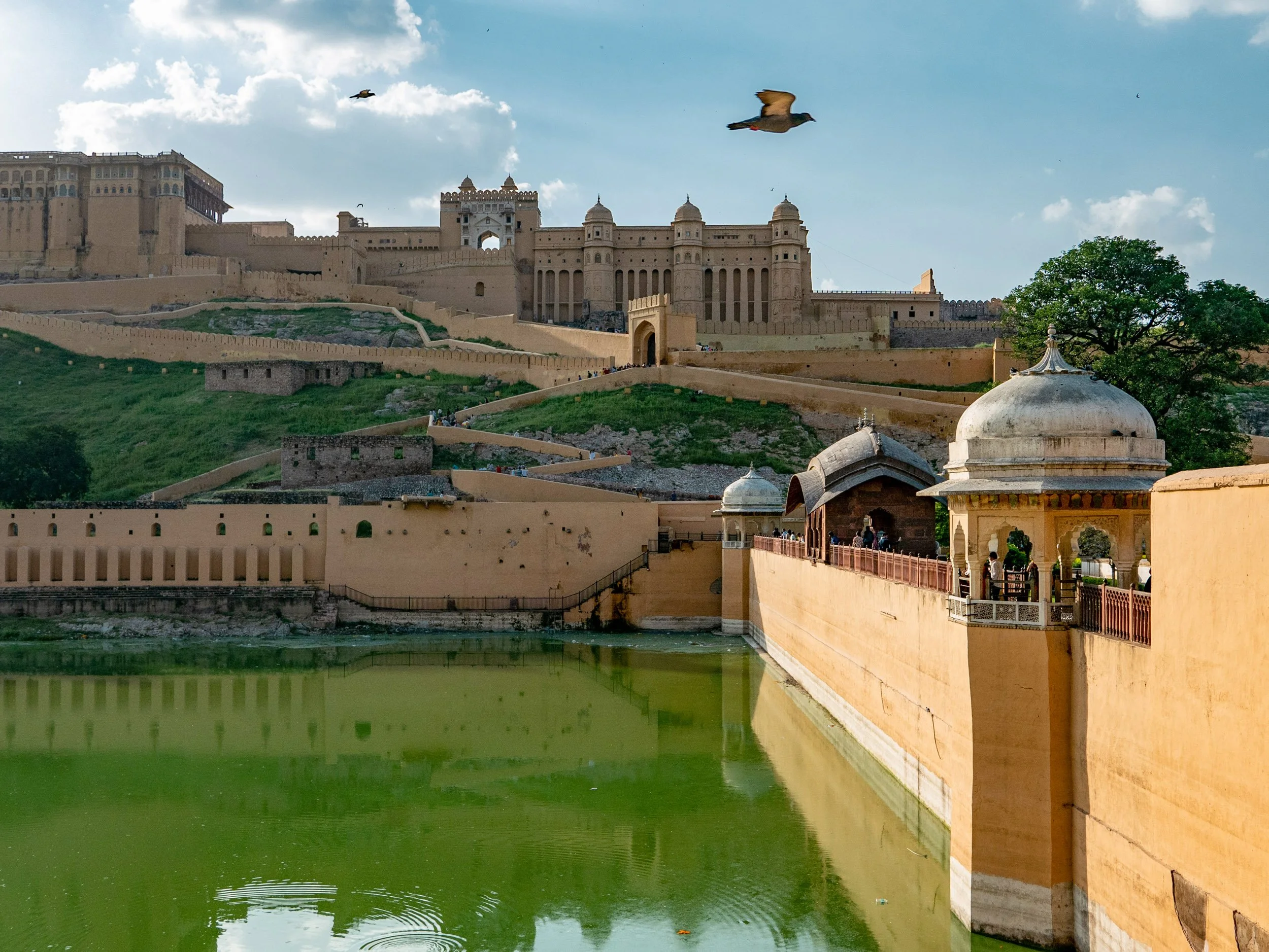 jaipur india 21.jpg