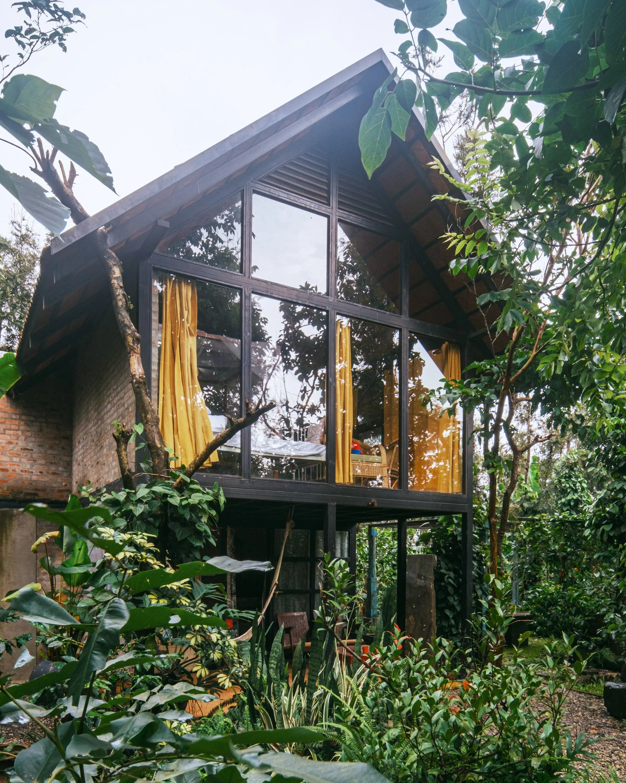 baan nimbus india 10.jpg