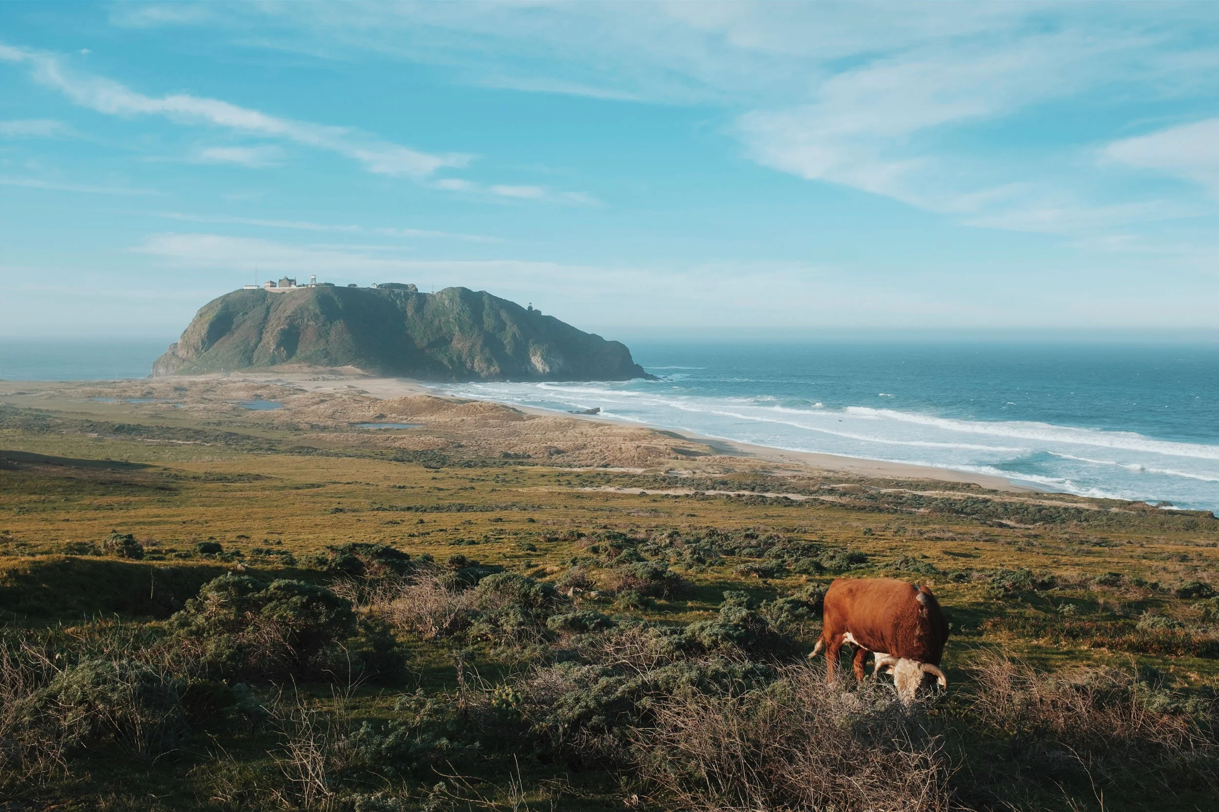 2016-02-20 01.57.36 1.jpeg