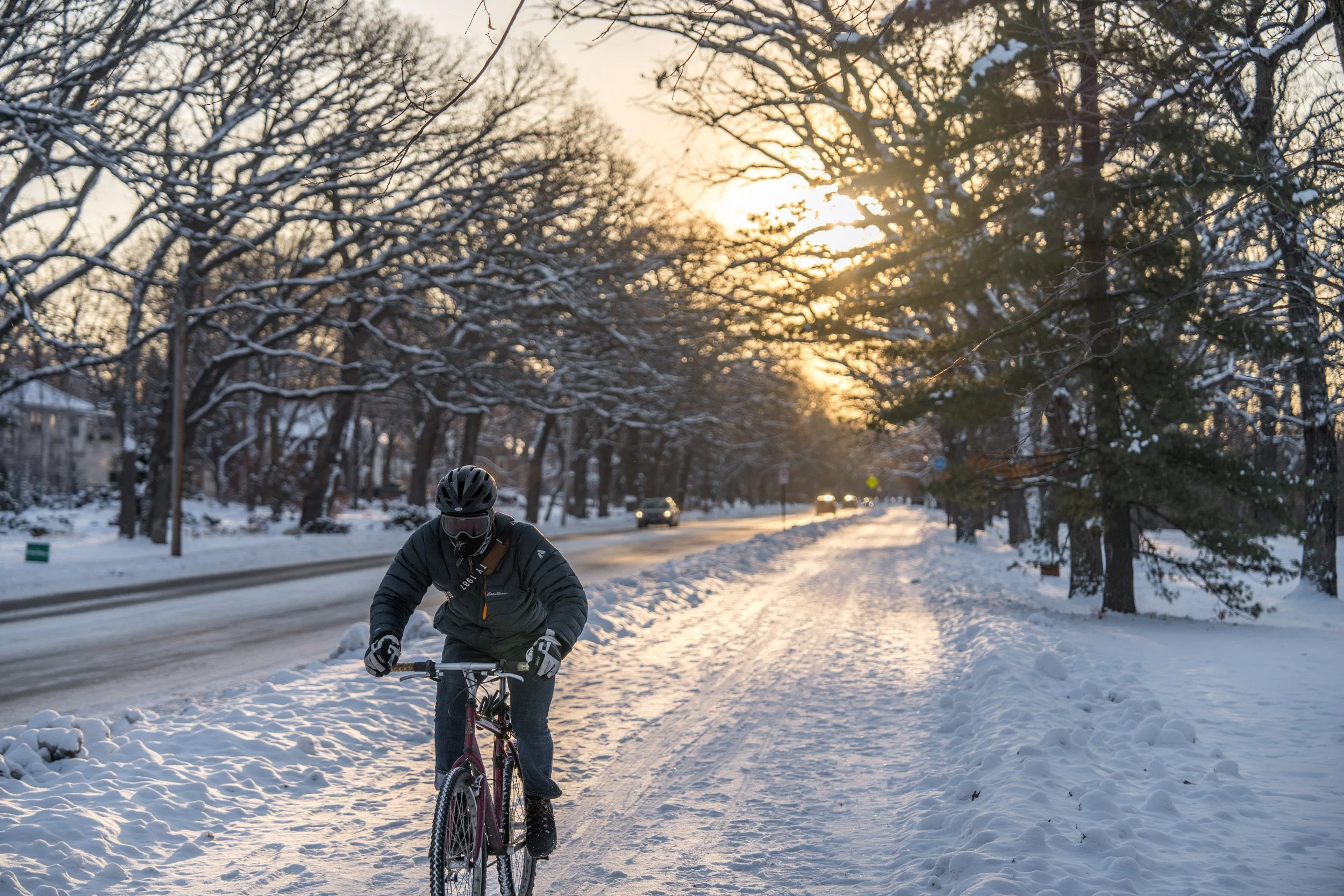 Prospect Park_03.jpg
