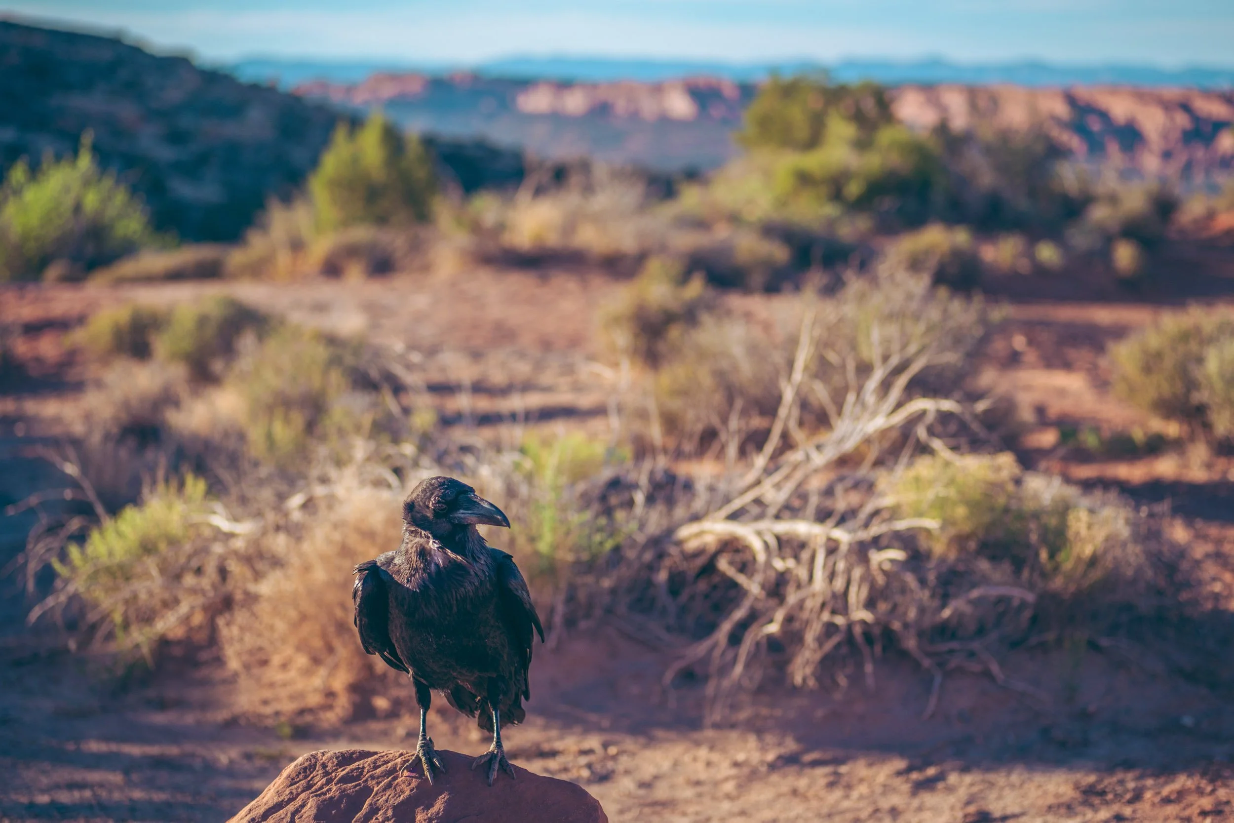 Arches_National_Park_hi res02.jpg