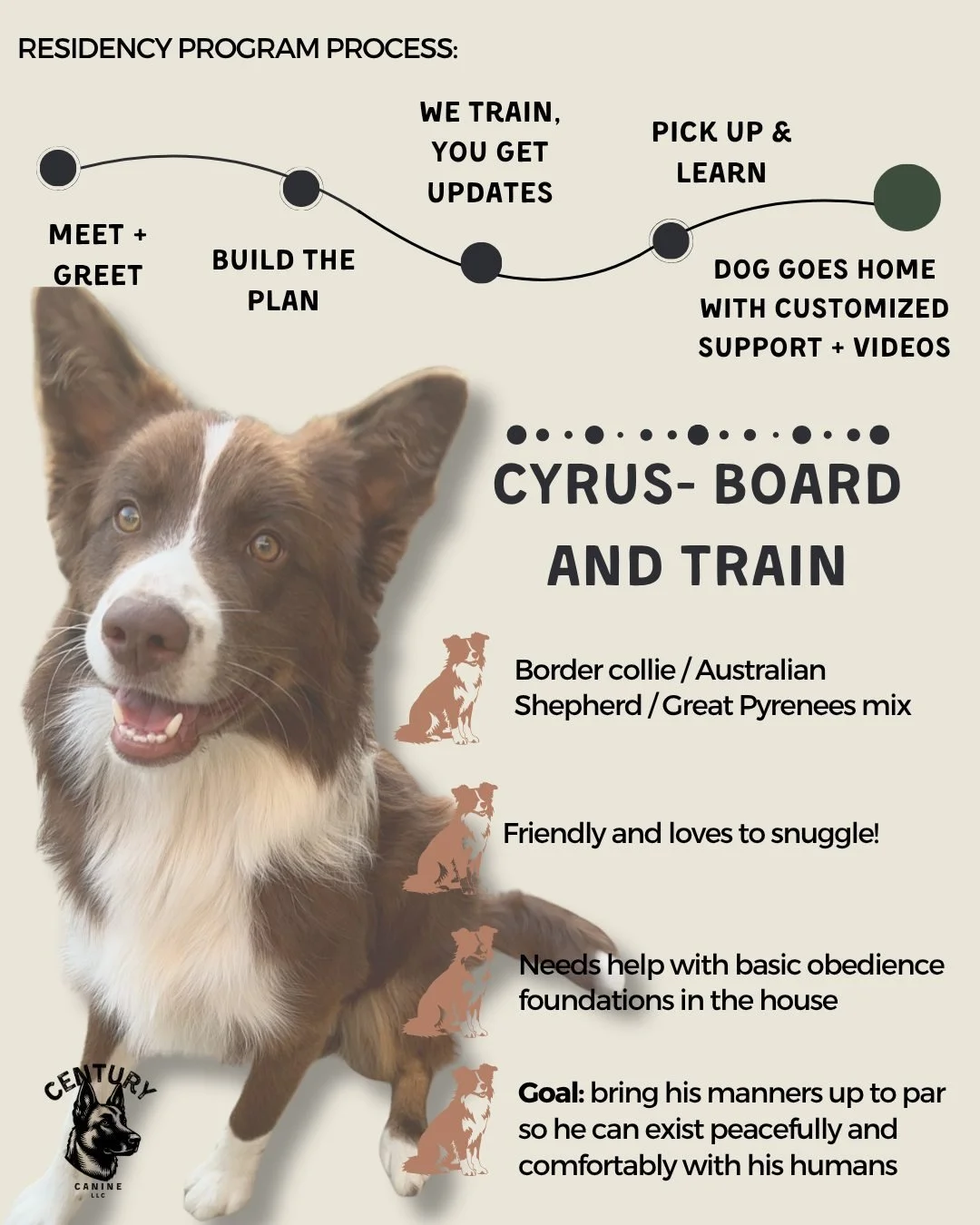 Join us on Cyrus's journey!

Our first Residency Program client will be working on house manners and foundational obedience. 

Follow us to follow his progress... I absolutely love these herding breeds 🐾 

✨25% off Residency Programs for our grand o