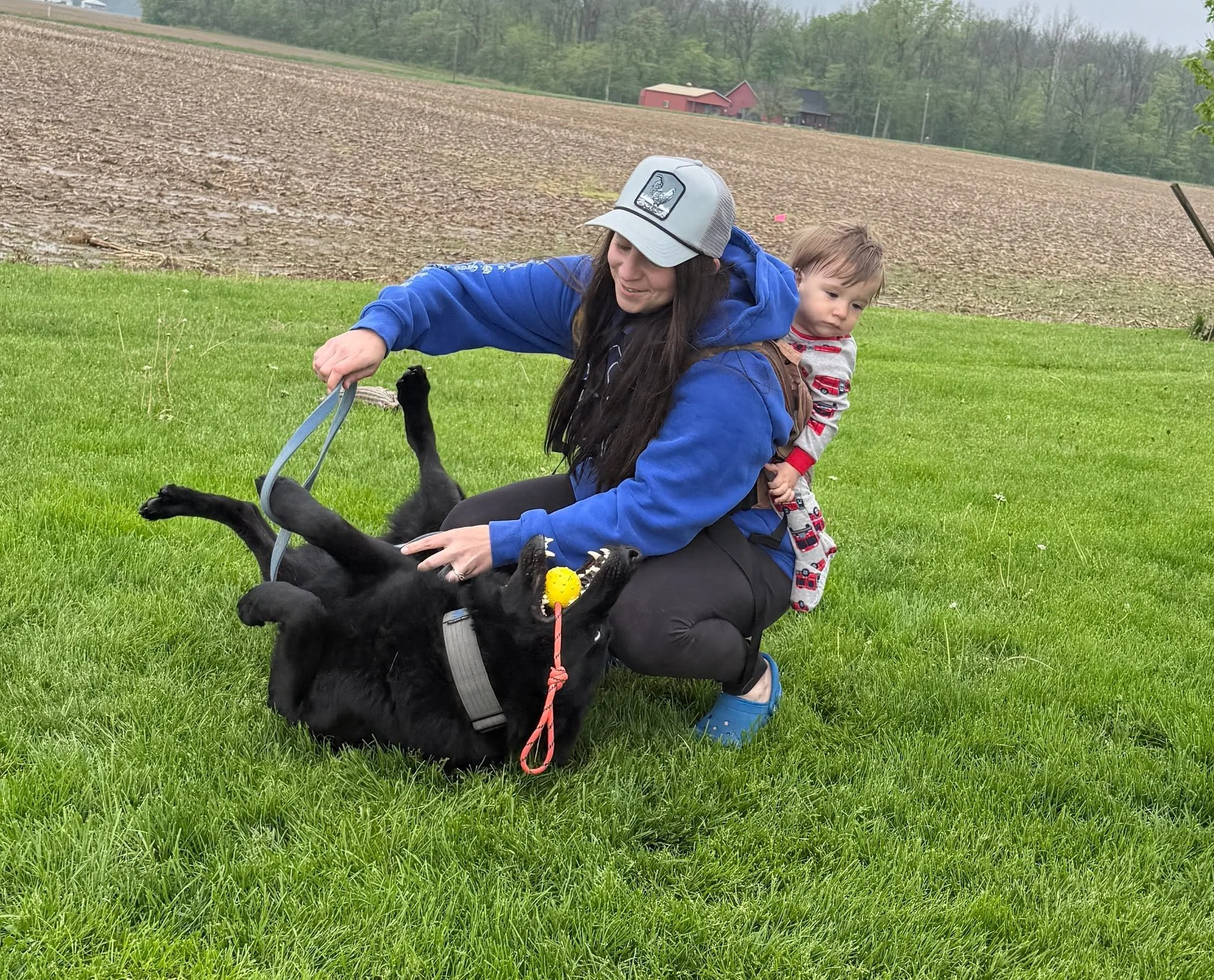 Everybody wanted belly rubs today! 

I bet your pup does, too...

Come book a board and train with us (25% off for our grand opening this summer) and they'll get all of the belly rubs that their hearts desire 💚

Text or call
(419) 343-2390

 #bellyr
