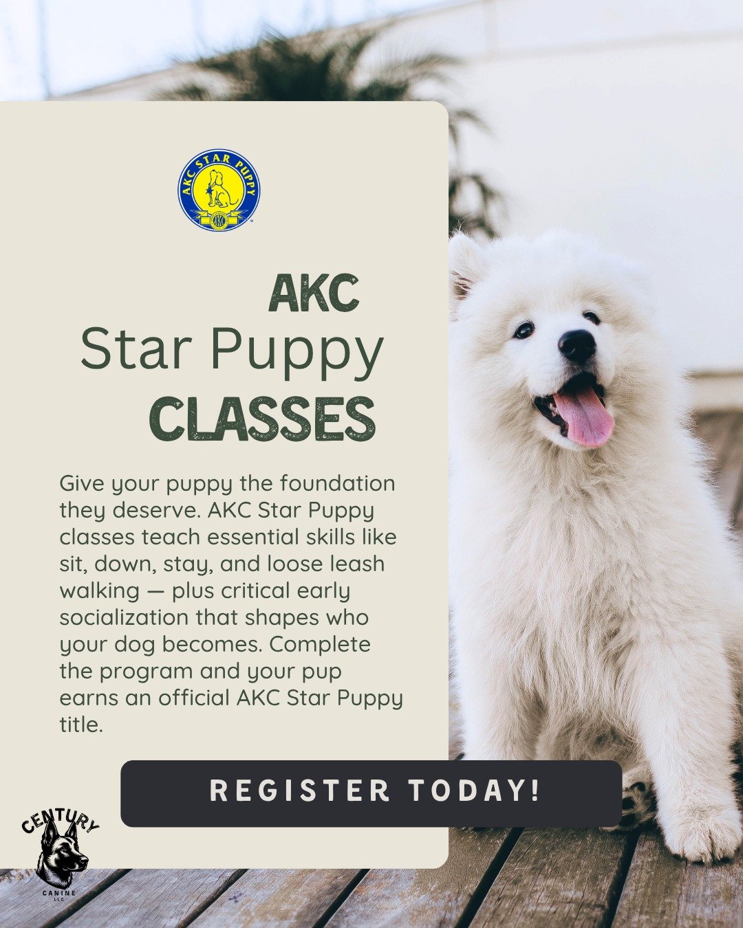 Let's get life with your puppy from chaos to.... sorta civilized. 😅😆

We are excited to announce AKC S.T.A.R. puppy classes in May! This program is for dogs up to 12 months of age and will take place in New Knoxville, OH.

Your dog will learn prope