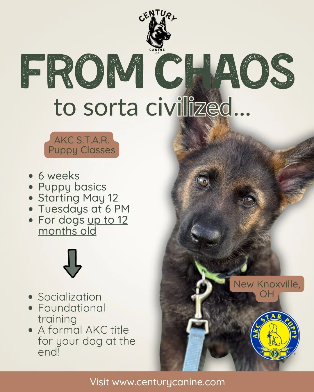 Congratulations on your new puppy! Here is your bill for new baseboards, a replacement couch cushion, and one pair of Crocs.

AKC S.T.A.R. Puppy classes are officially starting May 12th, and we want your chaos baby there. 🐶

✨ BONUS: This first roun