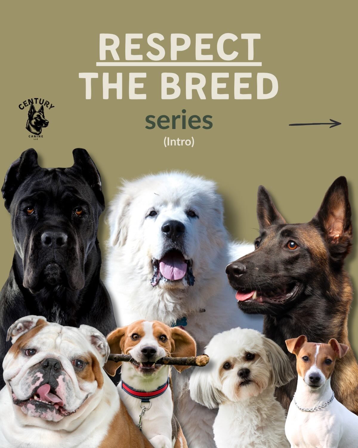 Dogs are individuals, but to claim that genetics don&rsquo;t matter and you can make a dog into whatever you want by how you raise them is inherently false.

Your pup has a genetic blueprint (yes, even mixes!), and their ancestors were bred for somet