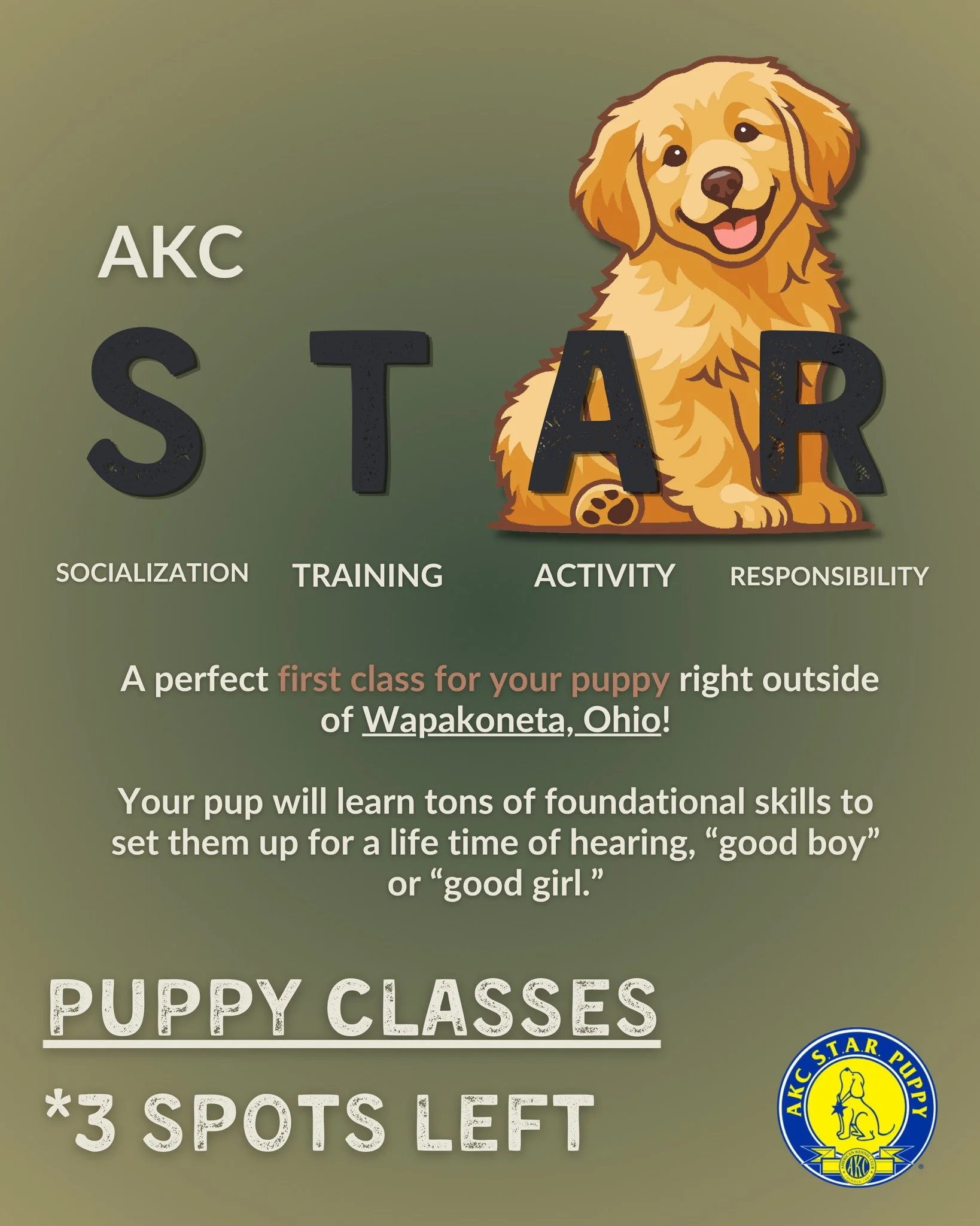 You want to get your puppy off to the right start... 
Try AKC S.T.A.R. puppy classes at Century Canine! We're right outside Wapakoneta, Ohio. 

🐾Starts June 2, 2026 🐾
Occurs for 6 weeks at 7 PM on every Tuesday

S.T.A.R. Puppy covers the following: