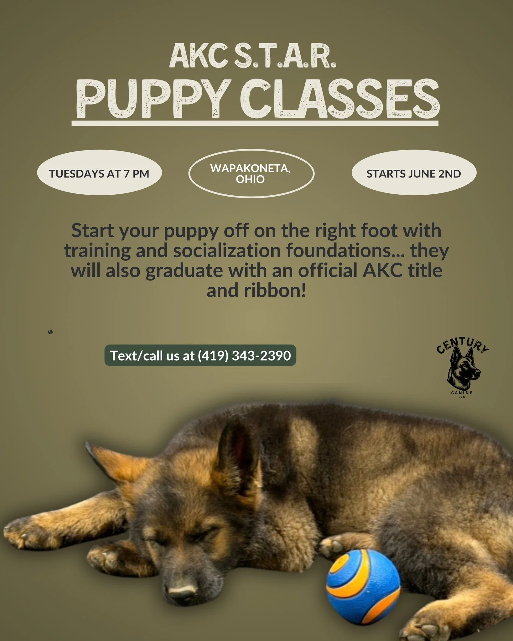 ‼️ TWO SPOTS LEFT ‼️
Put in the work now and reap the benefits of a well-trained and socialized dog later.

Join us for AKC S.T.A.R. puppy classes in New Knoxville, Ohio (right outside Wapakoneta). 
Your pup will get needed socialization in a control