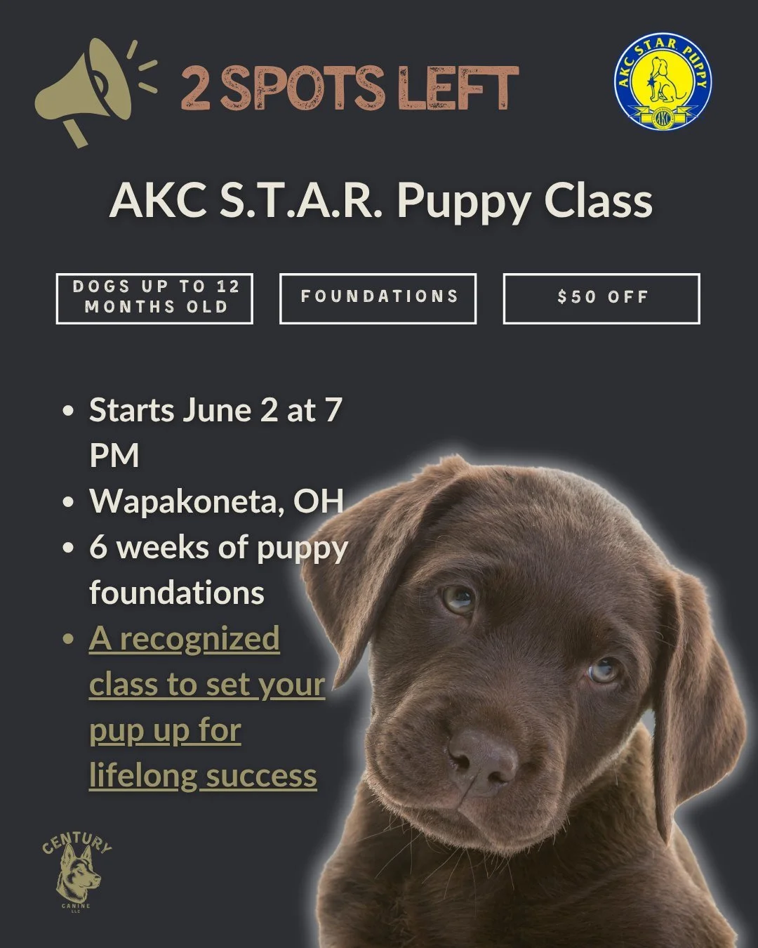 The AKC S.T.A.R. Puppy program is widely recognized as one of the best puppy prep classes there is. It leads into the Canine Good Citizen program and sets your puppy up for lifelong success!

I decided to open up 2 more spots for this crew. Since thi