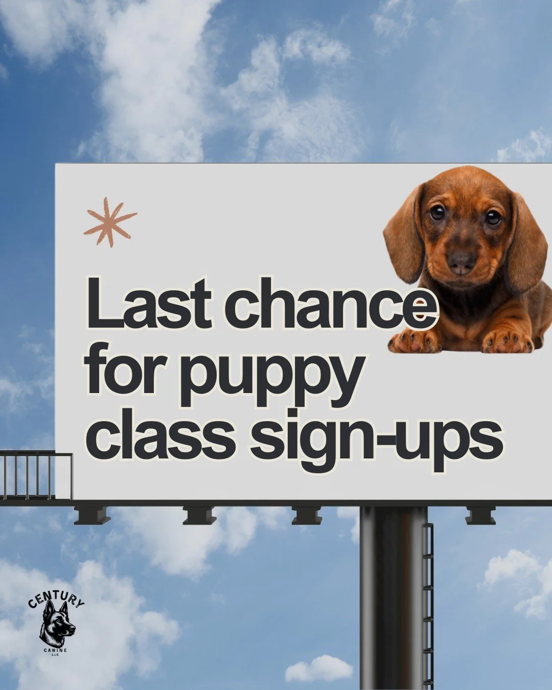 One spot left and we start tomorrow!
If you have a puppy under 12 months and you've been on the fence, this is your chance. This is THE puppy class to get into!
Our AKC S.T.A.R. Puppy class runs every Tuesday at 7 PM for 6 weeks starting June 2nd, ri