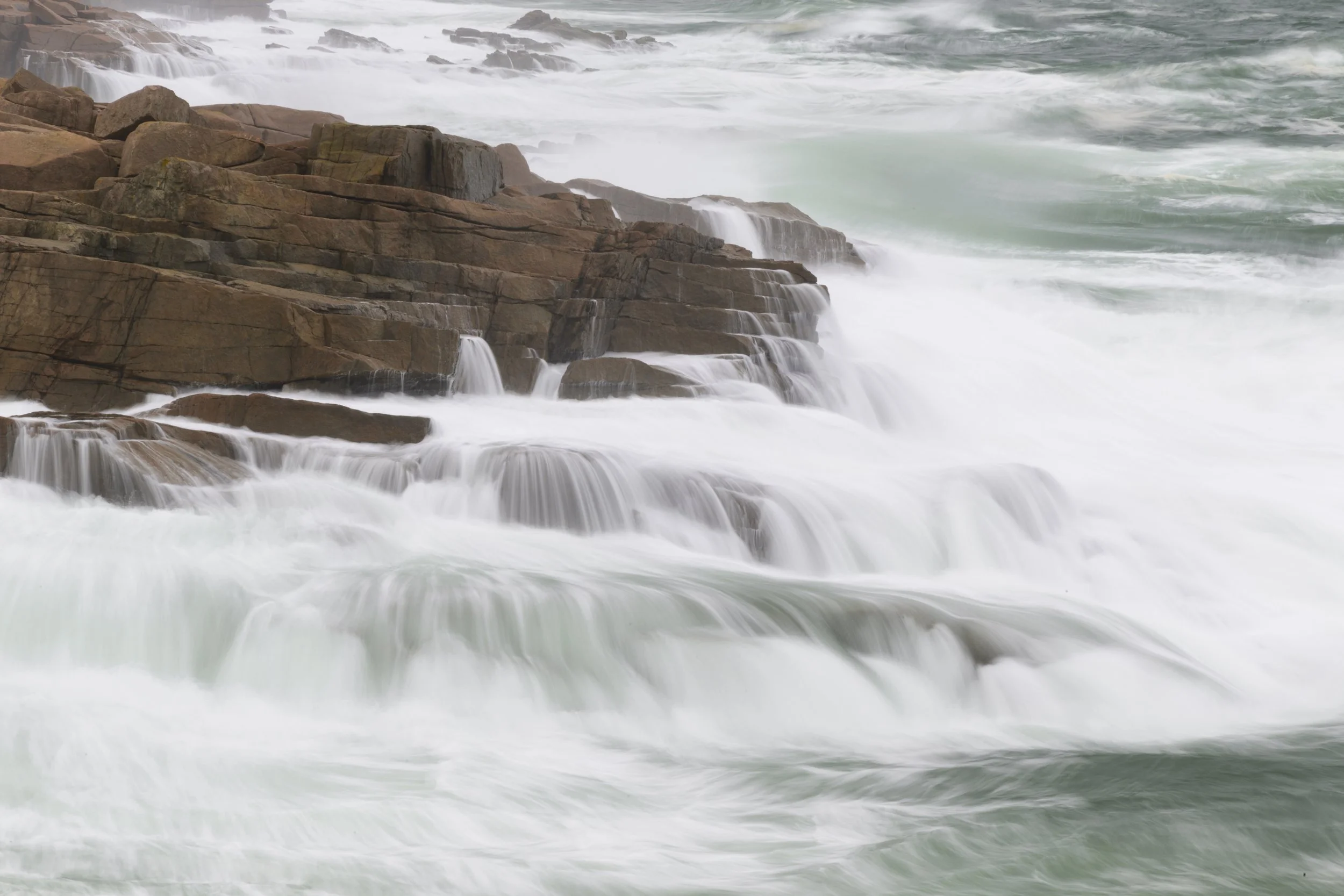 _DSC6491-5.jpg