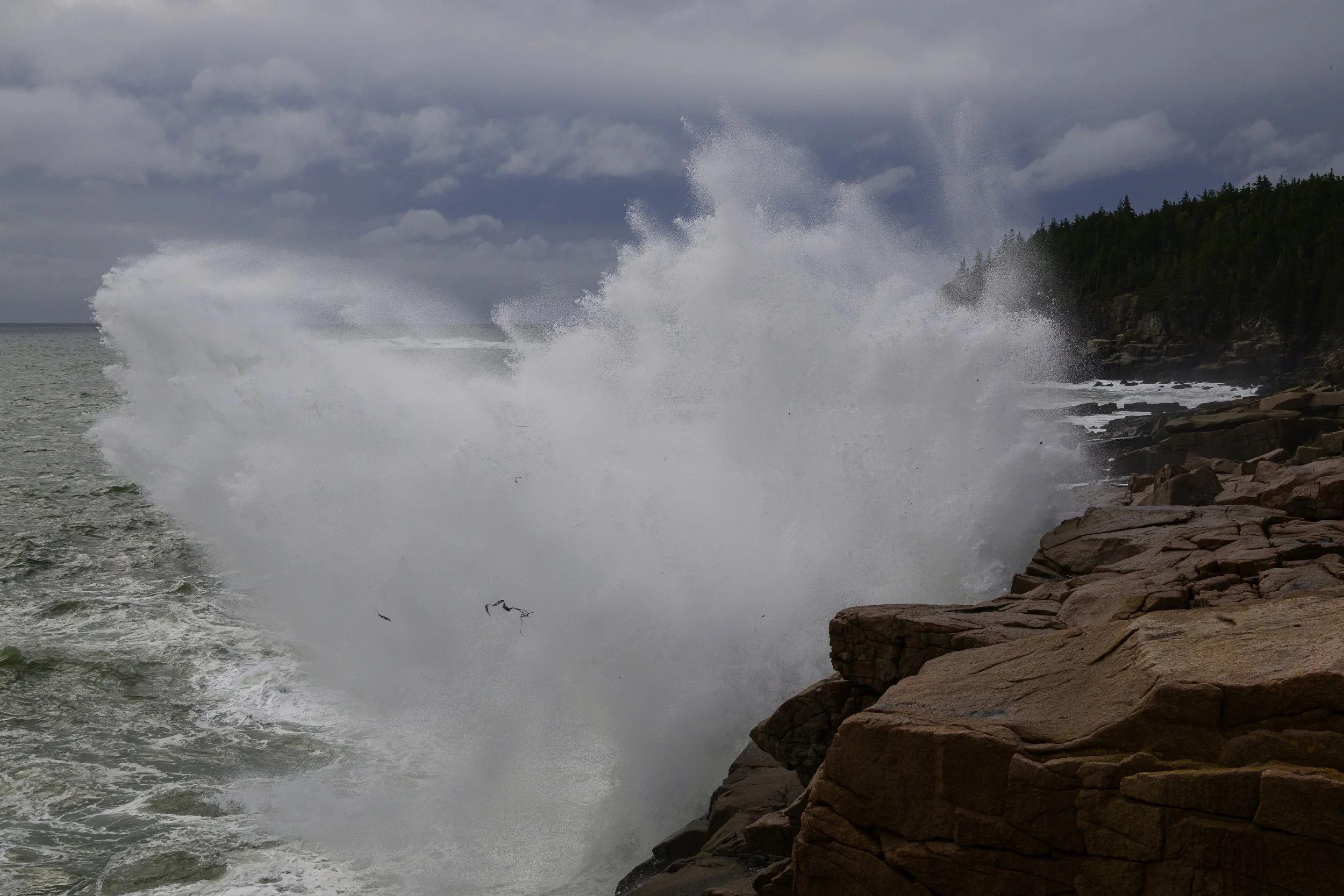 _DSC4981-9.jpg
