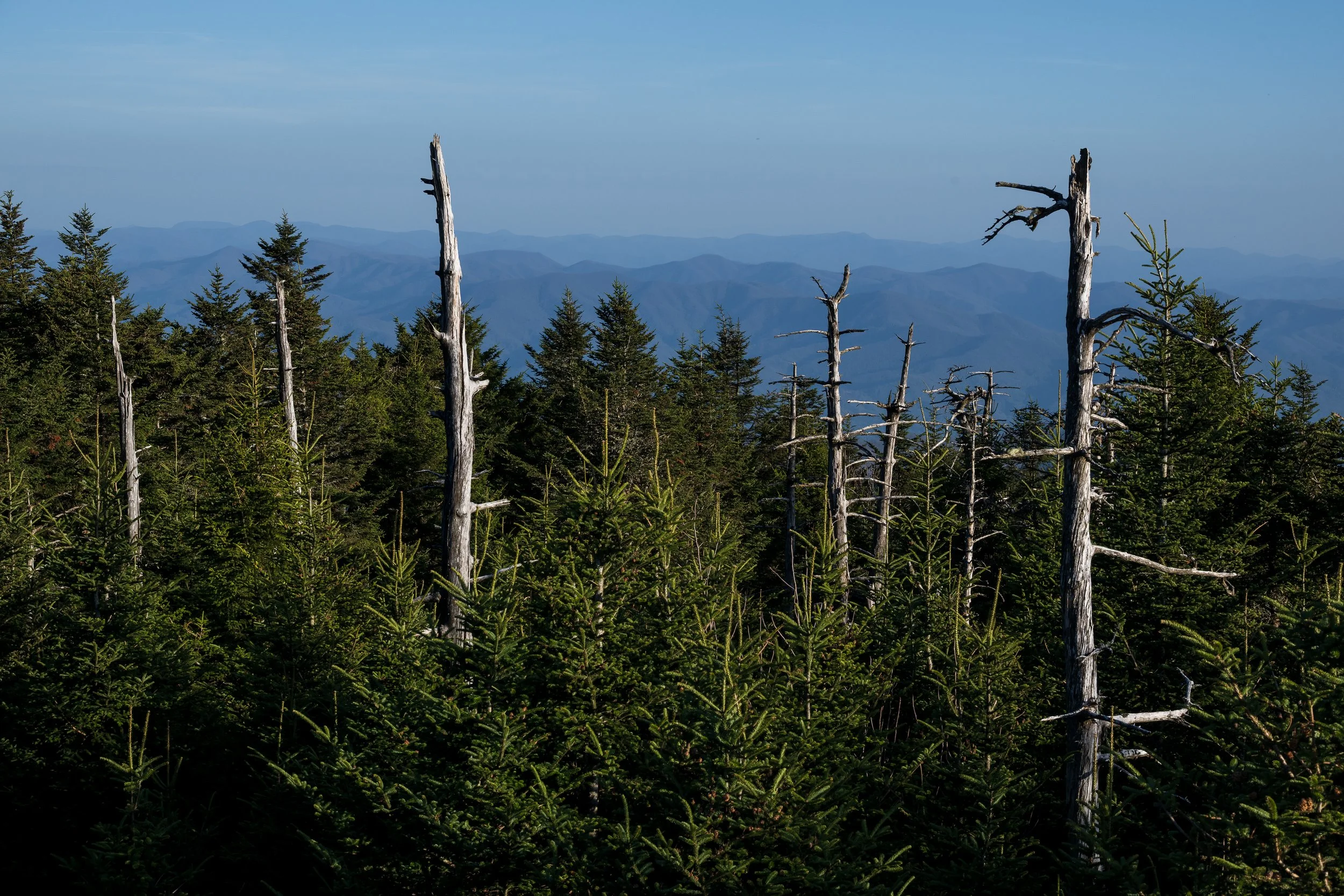 _DSC6173-2.jpg