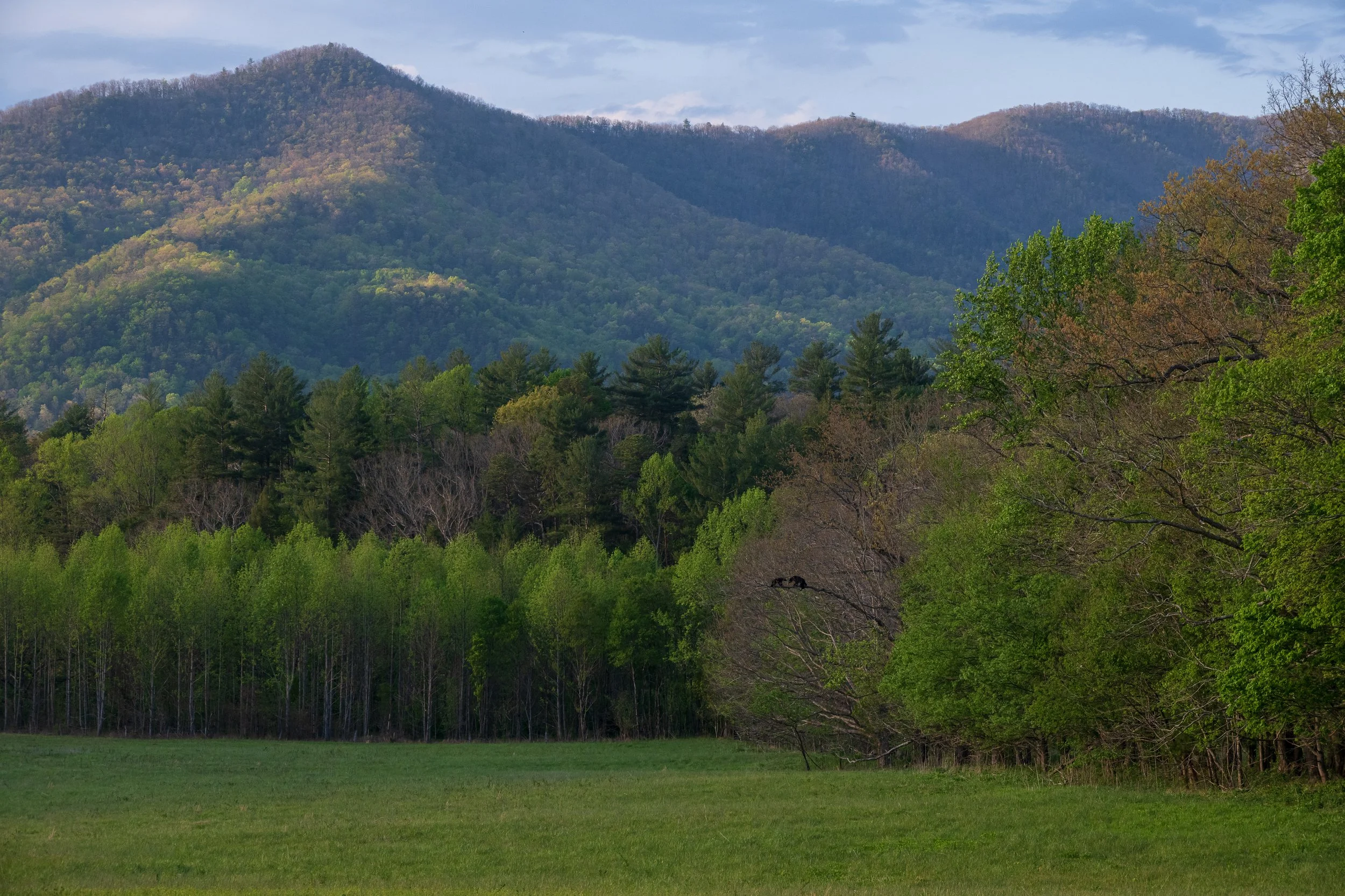 _DSC8610-1.jpg