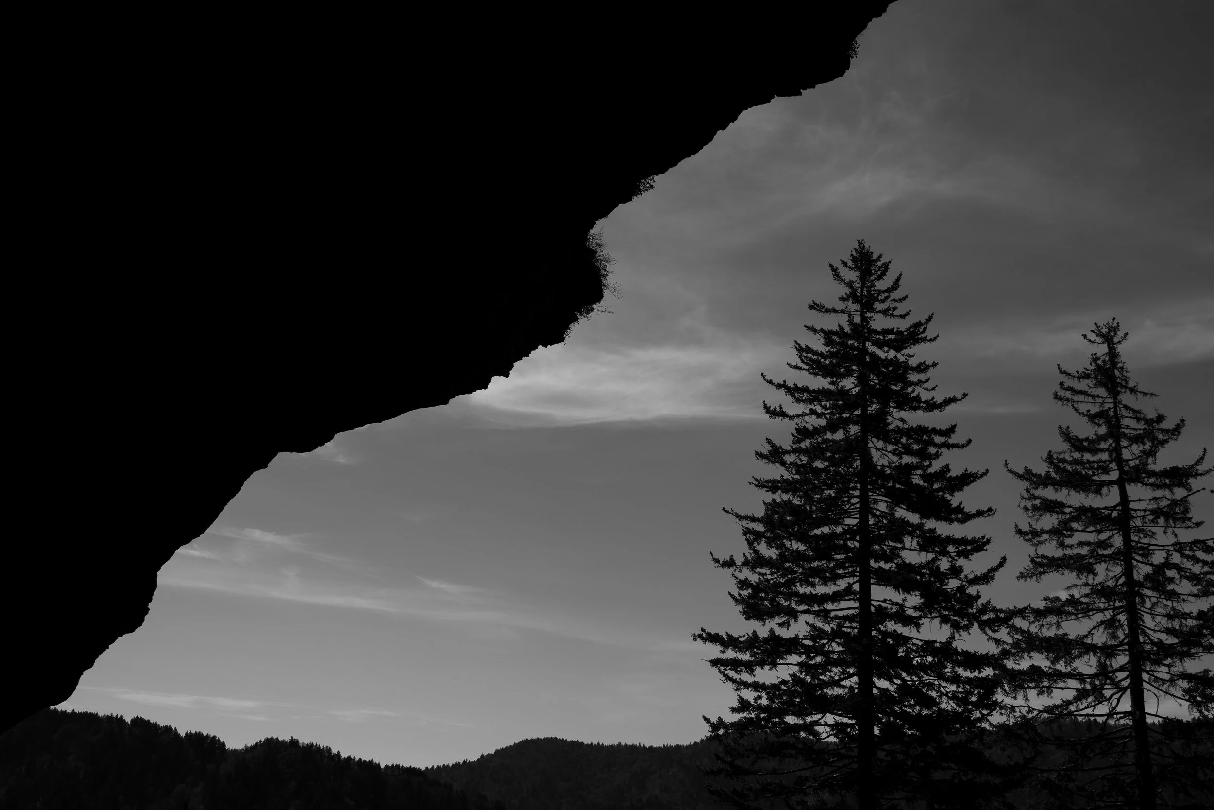 _DSC6405-1.jpg