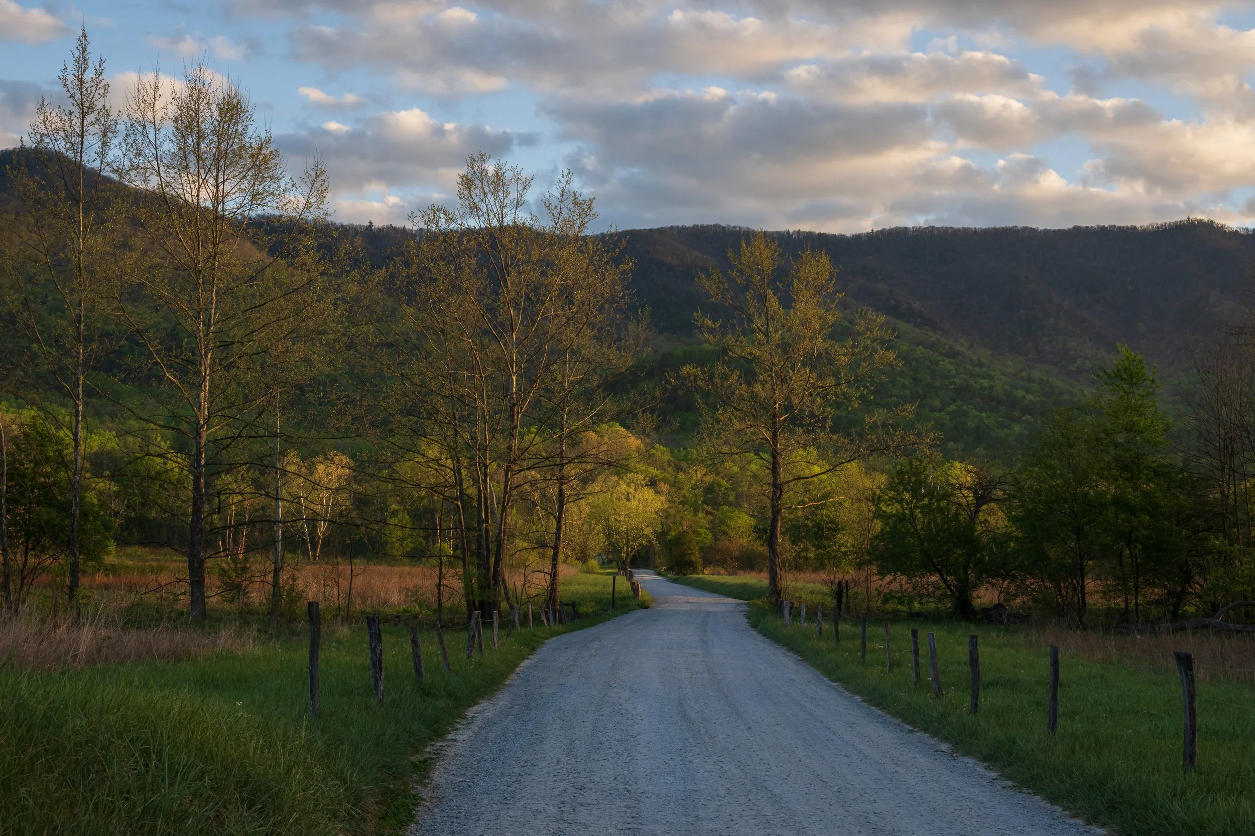 _DSC7171-1.jpg