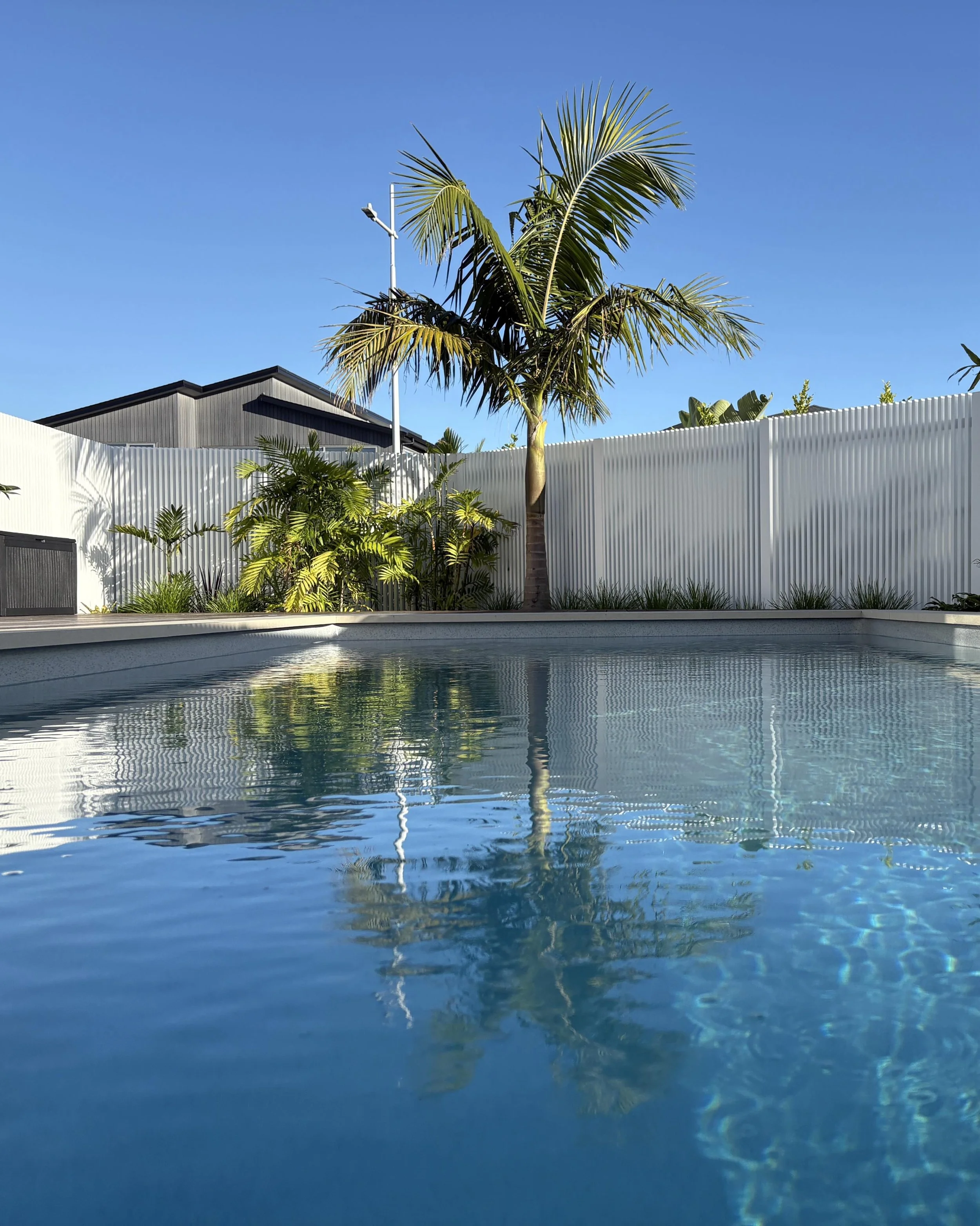 Front yard pool? No problem. 🏖️ For this recent project, privacy was key. We teamed up with @belairedesignerfencing  to deliver a sleek modern solution that keeps the @nzpoolhouse  pool private while ticking every single council compliance box .
Swi
