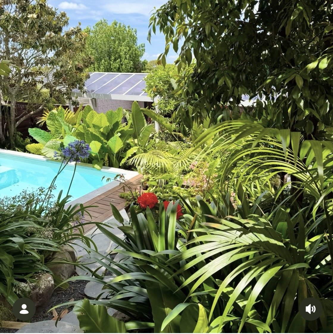 The Tiny Tropics — Rothesay Bay