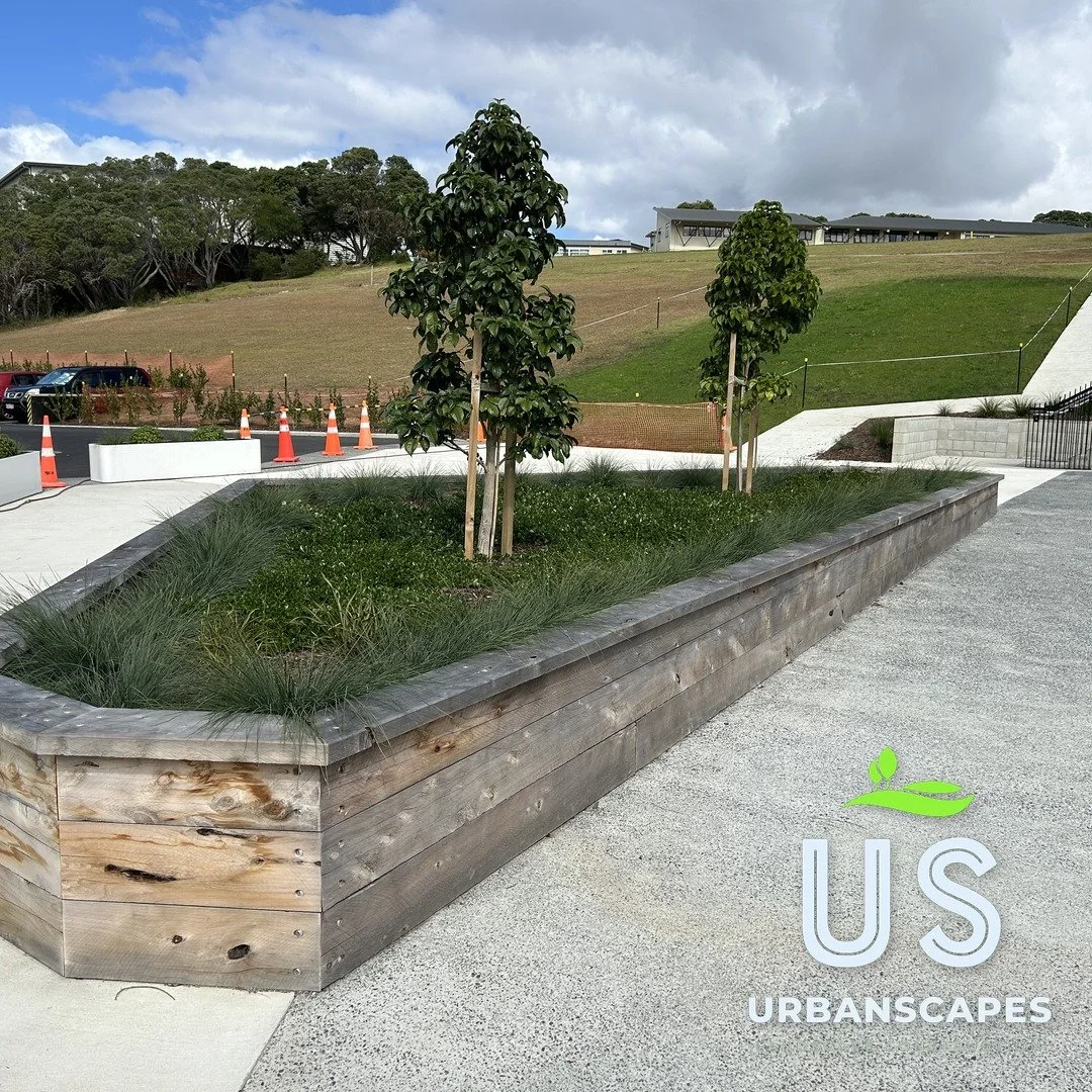 urbanscapes_school_sq_06.jpg