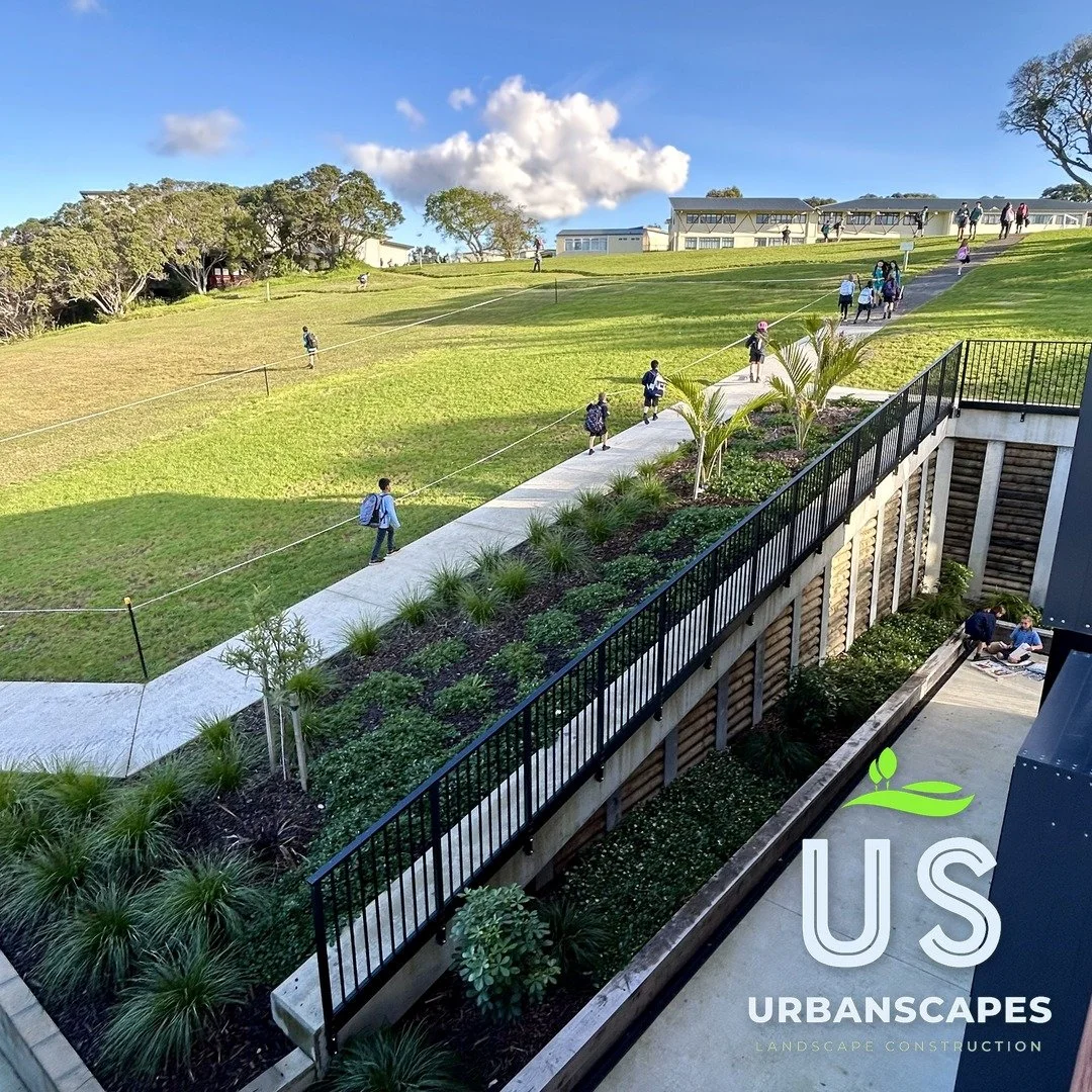urbanscapes_school_sq_03.jpg