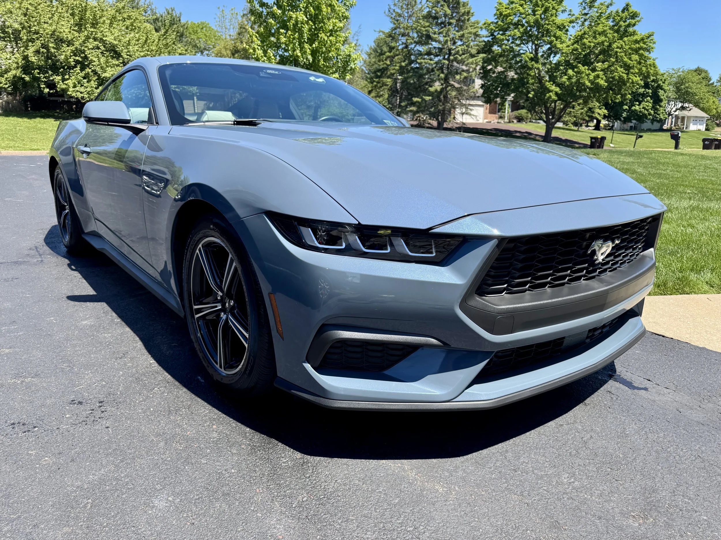 Ford Mustang Wax