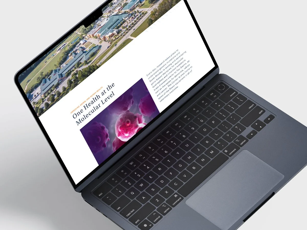AU-Awareness-Landing-Page-Mockup_V3.jpg