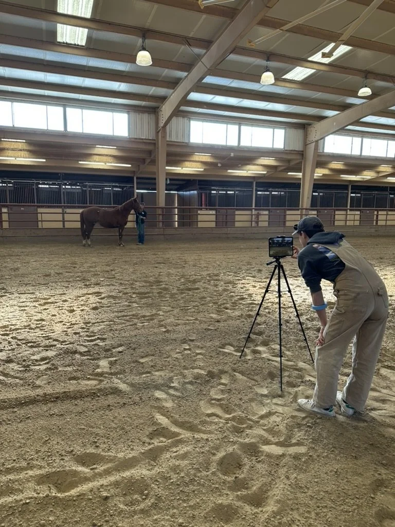 A person wearing beige overalls and a black cap is filming a brown horse inside a large, well-lit indoor riding arena with a smartphone on a tripod, while another person stands near the horse.