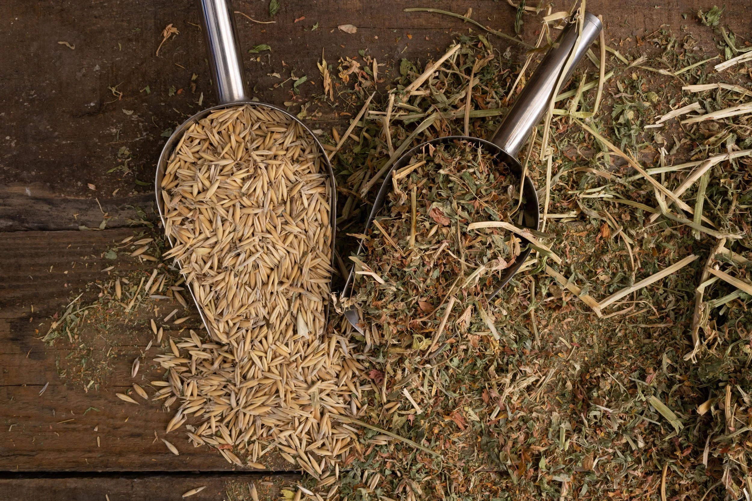 Two metal scoops resting on a mix of dried grasses, hay, and plant material on a wooden surface. One scoop contains oats or grains, and the other contains dried plant leaves and stems.