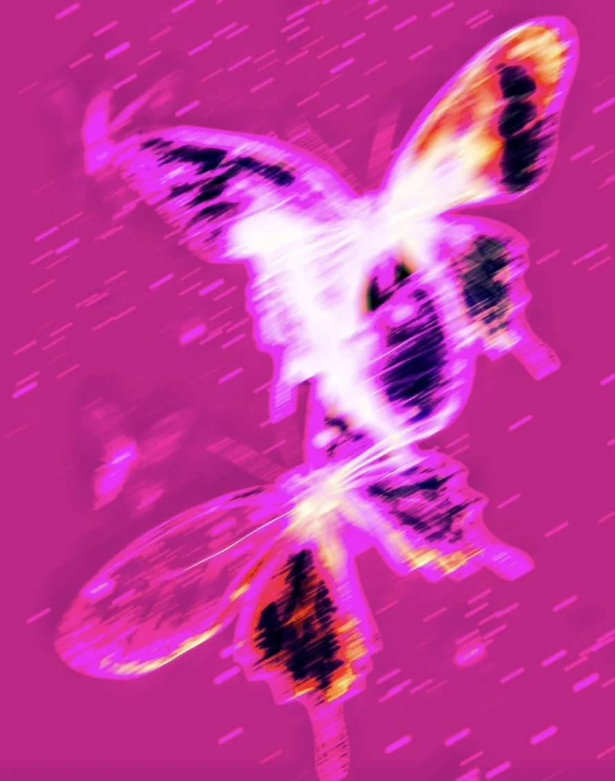 IMG_2864.PNG