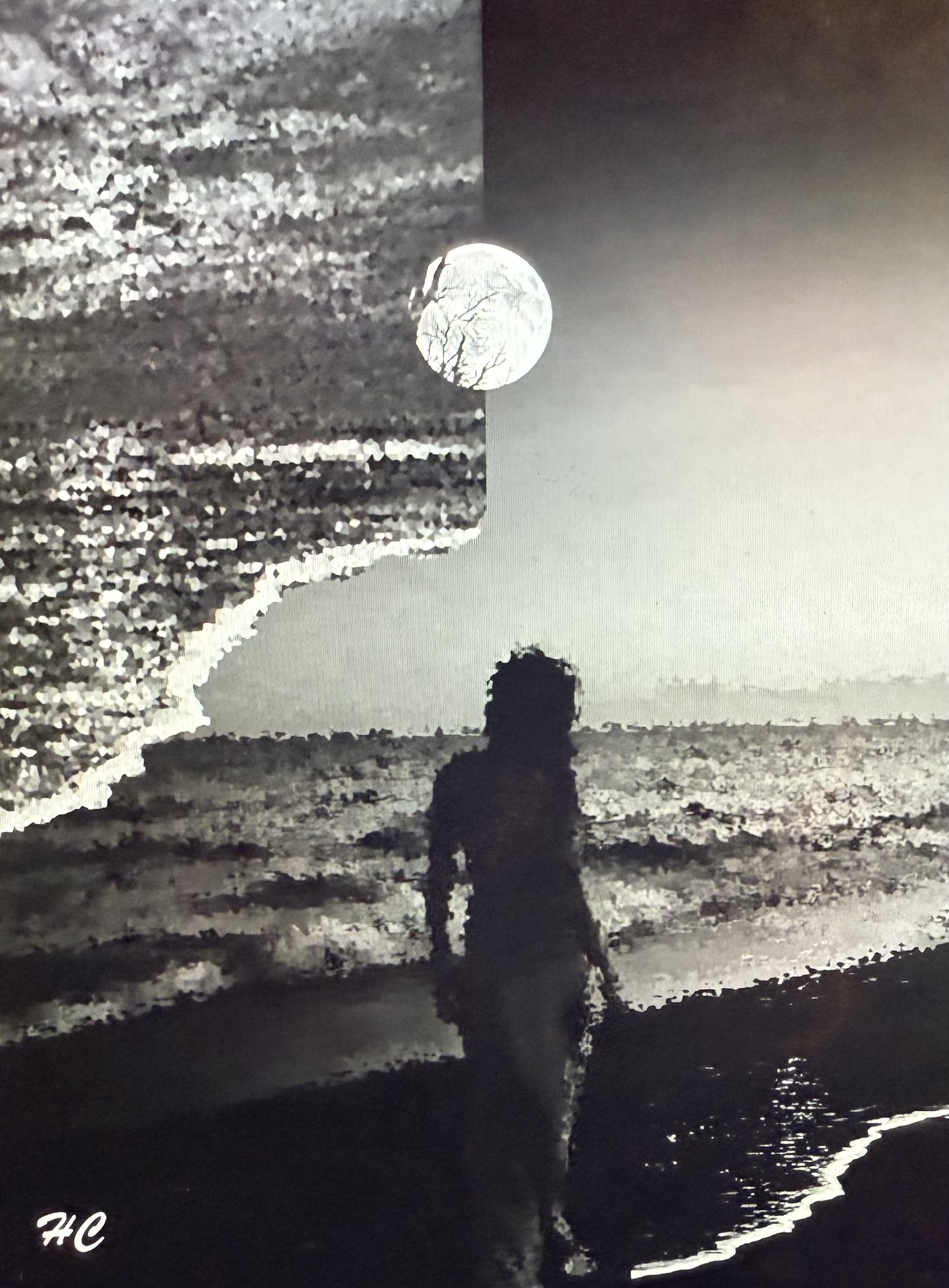 Still-life x Moonlight (black and white)