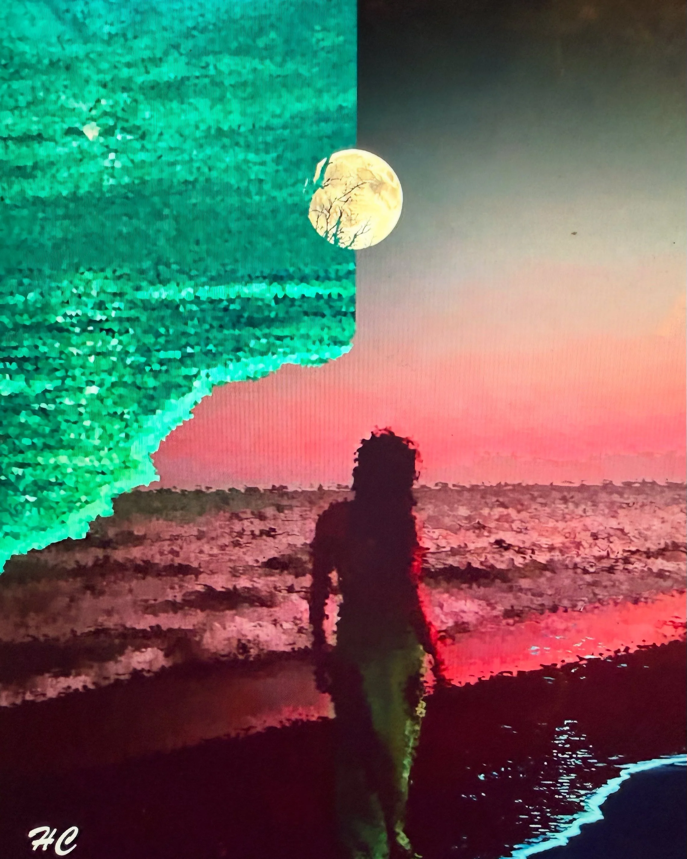 Still-life x Moonlight